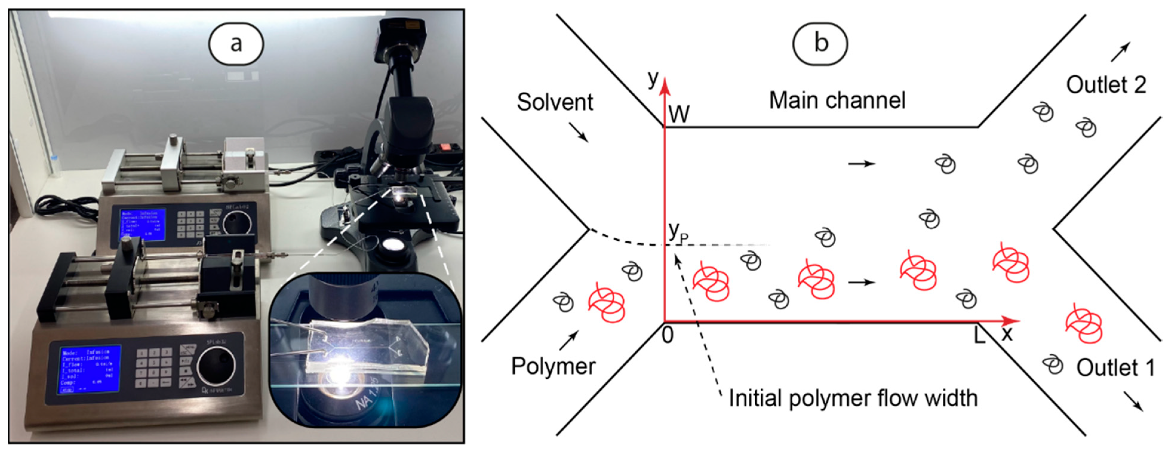 Polymers 17 00028 g001