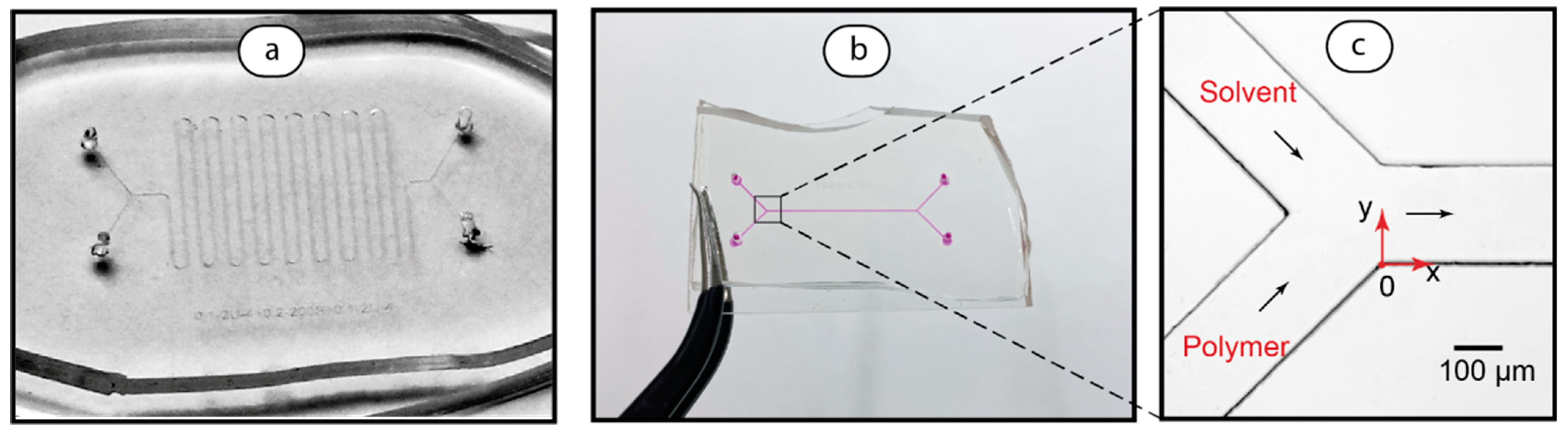 Polymers 17 00028 g002