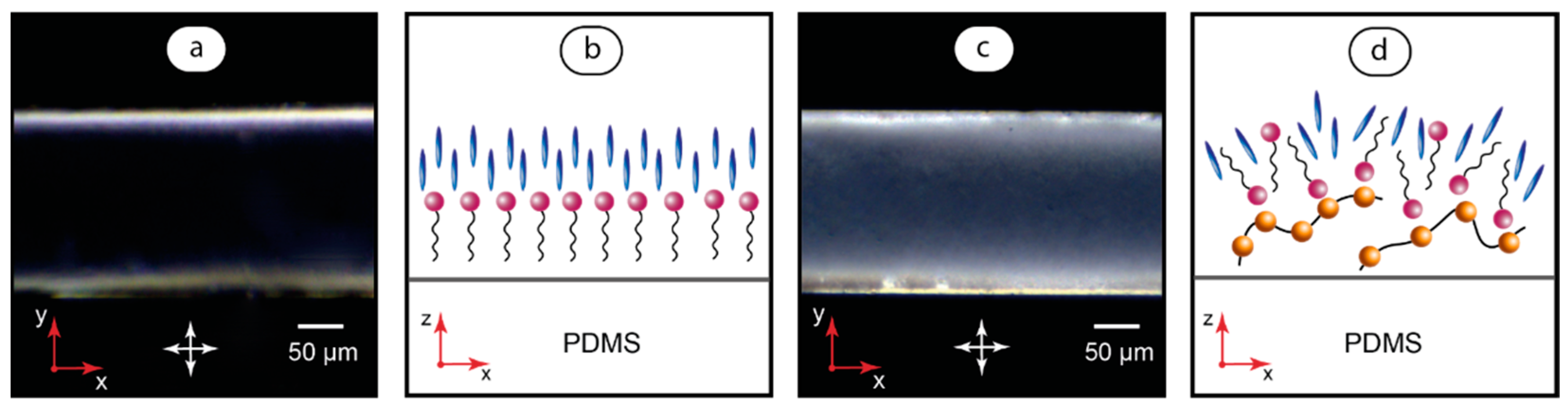 Polymers 17 00028 g005