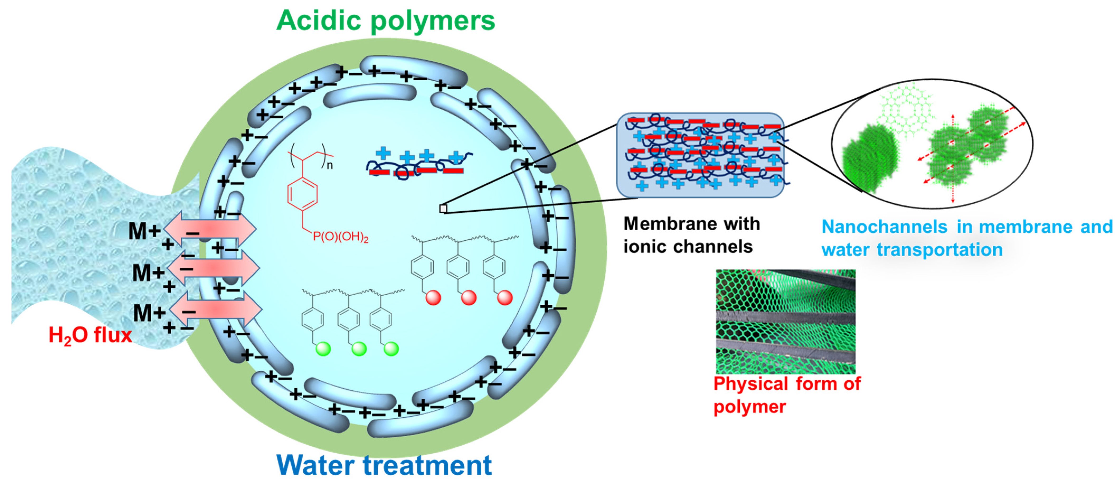 Polymers 17 00029 g001