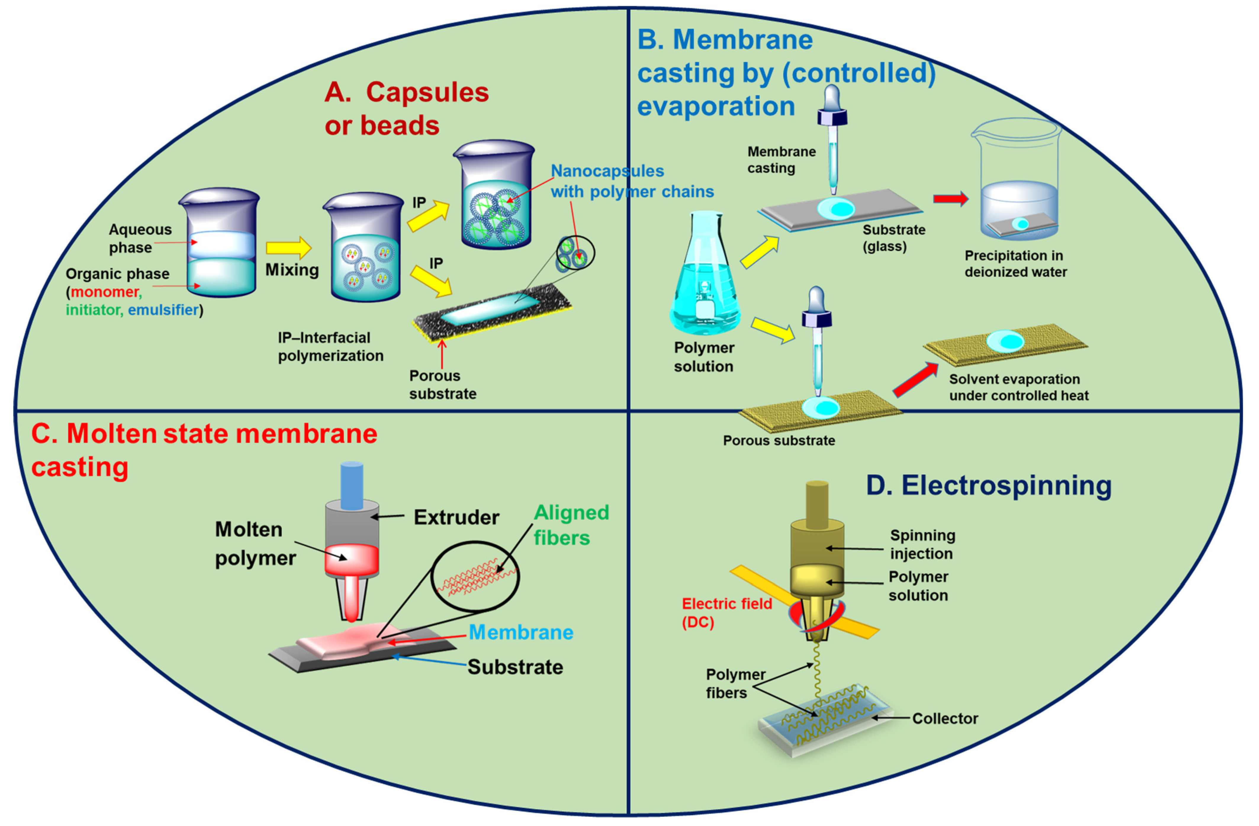 Polymers 17 00029 g003