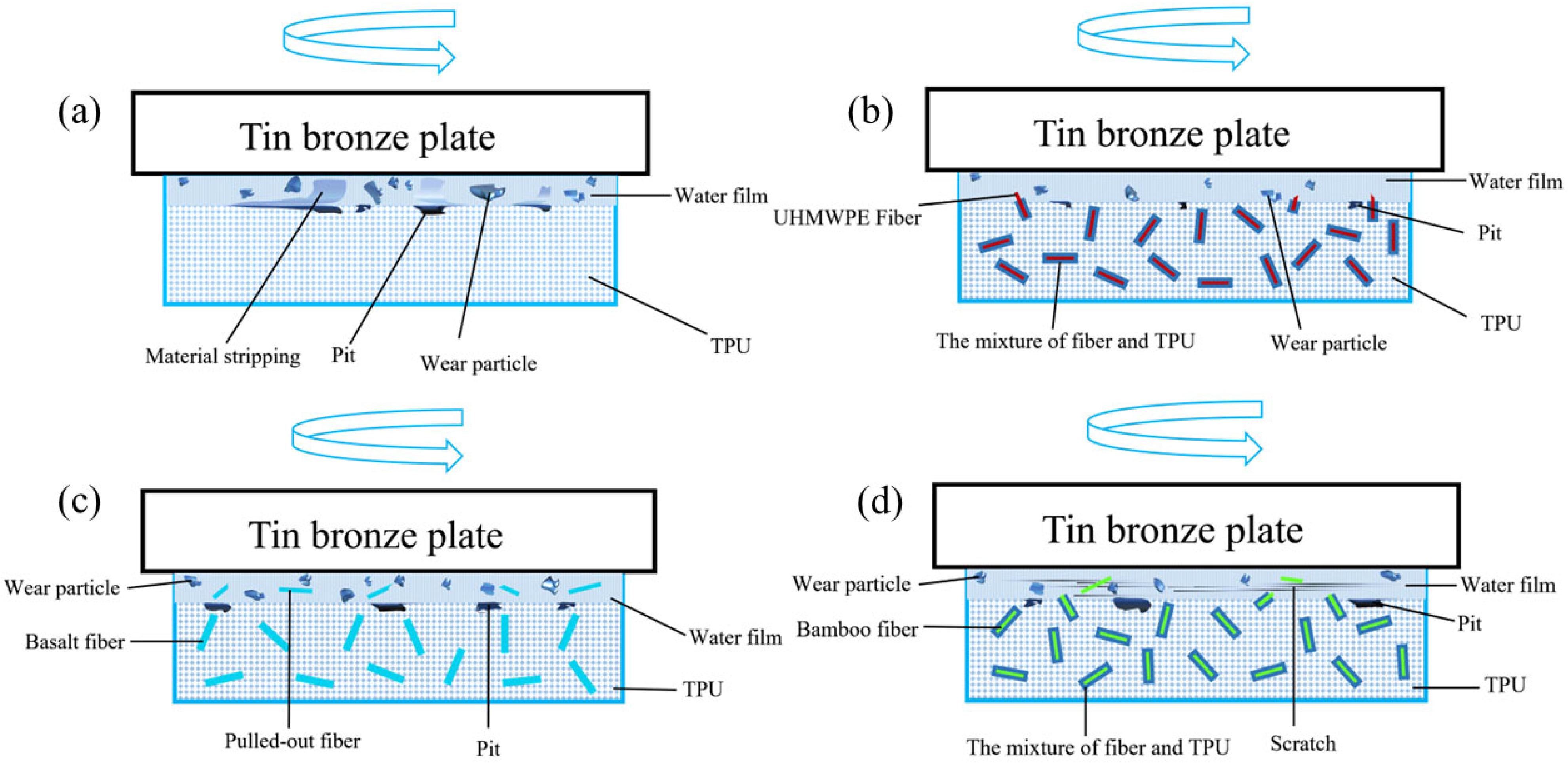 Polymers 17 00030 g007