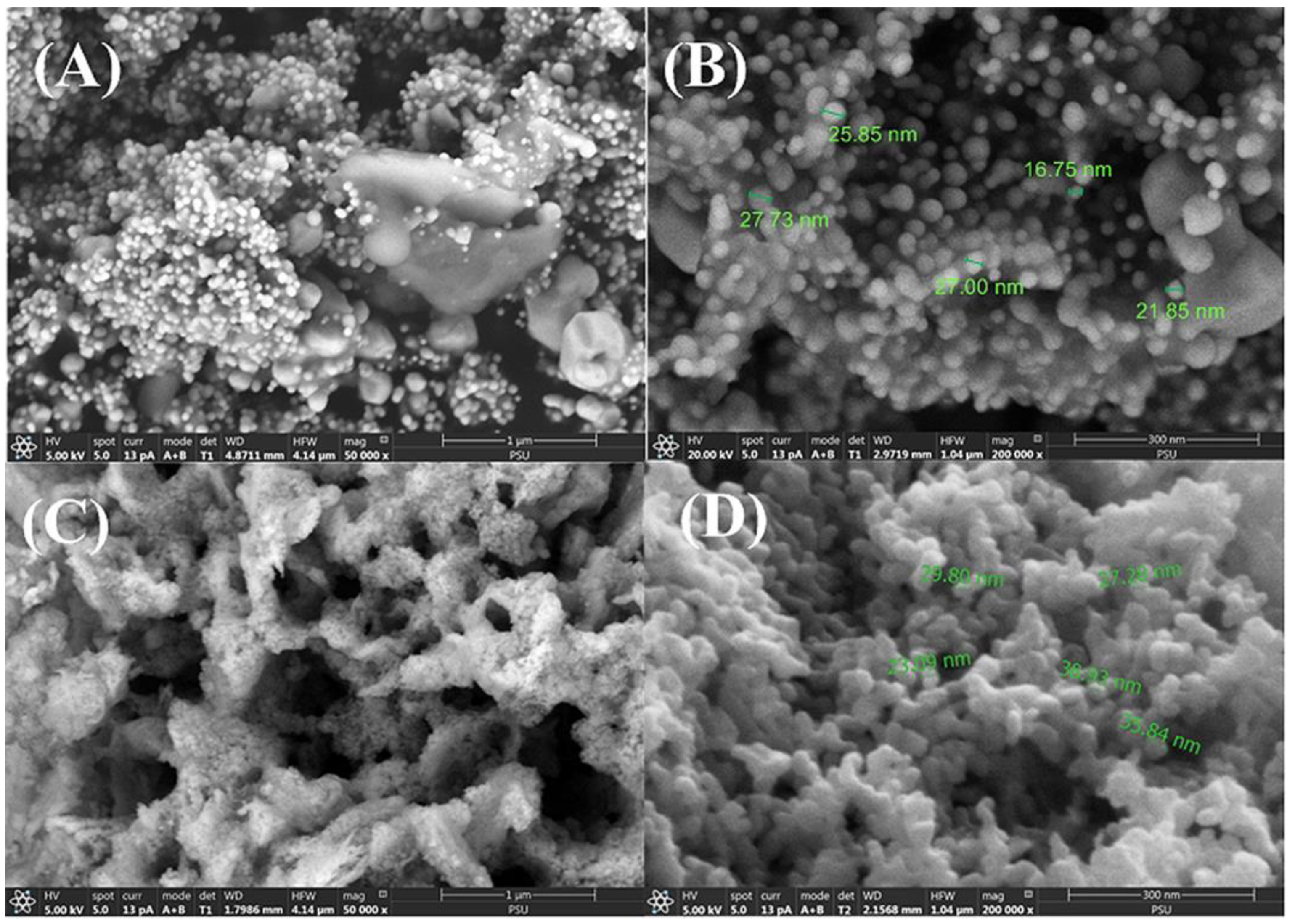 Polymers 17 00032 g002