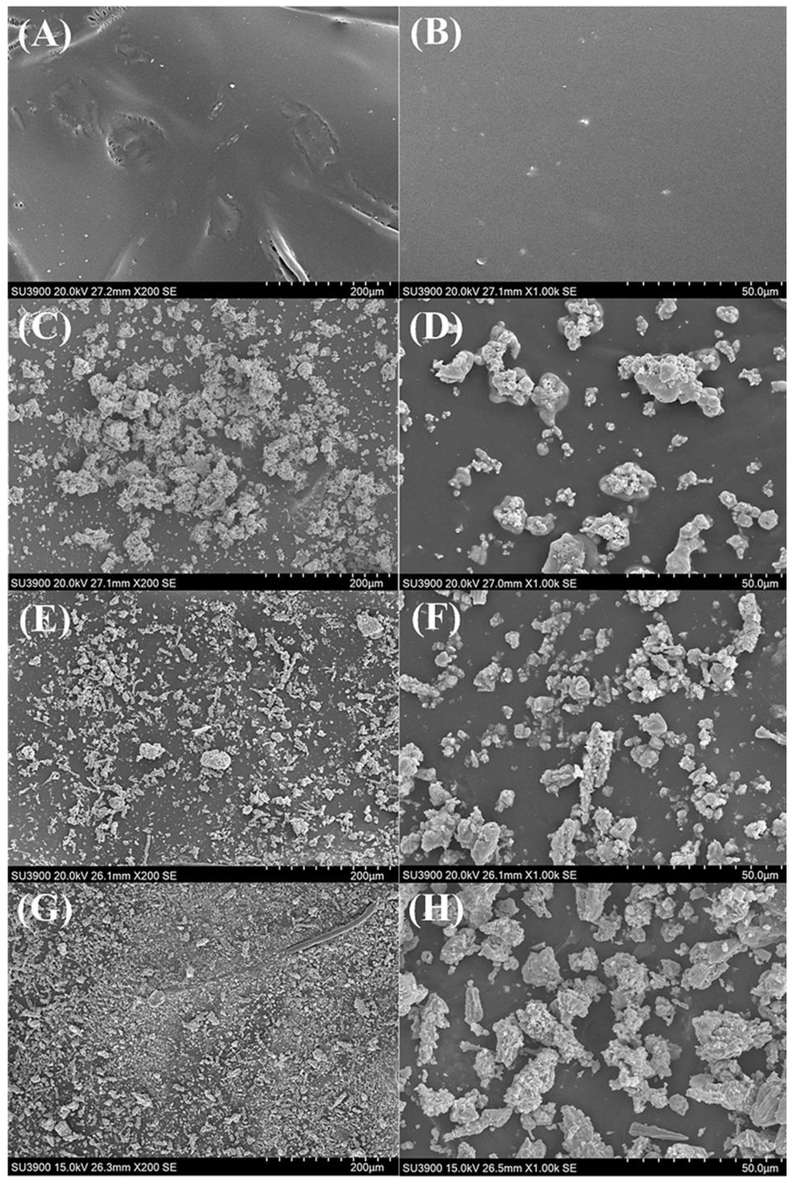 Polymers 17 00032 g004