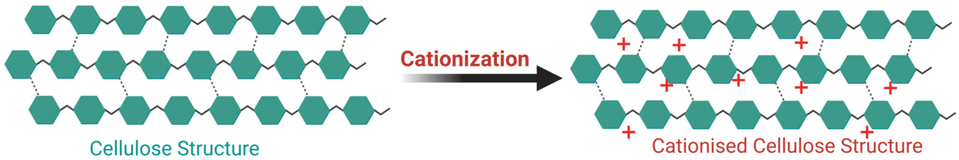 Polymers 17 00036 g003