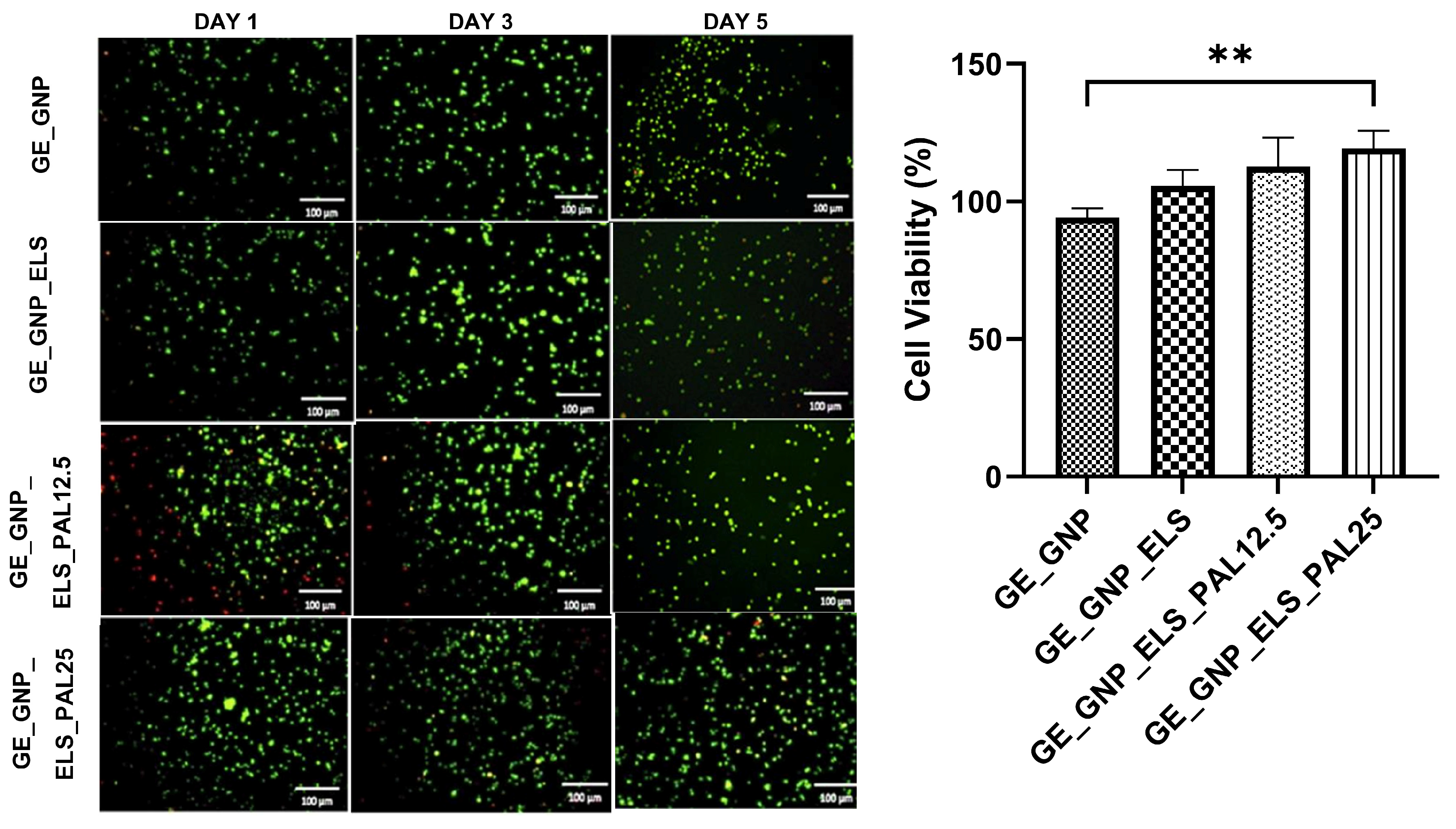 Polymers 17 00041 g007