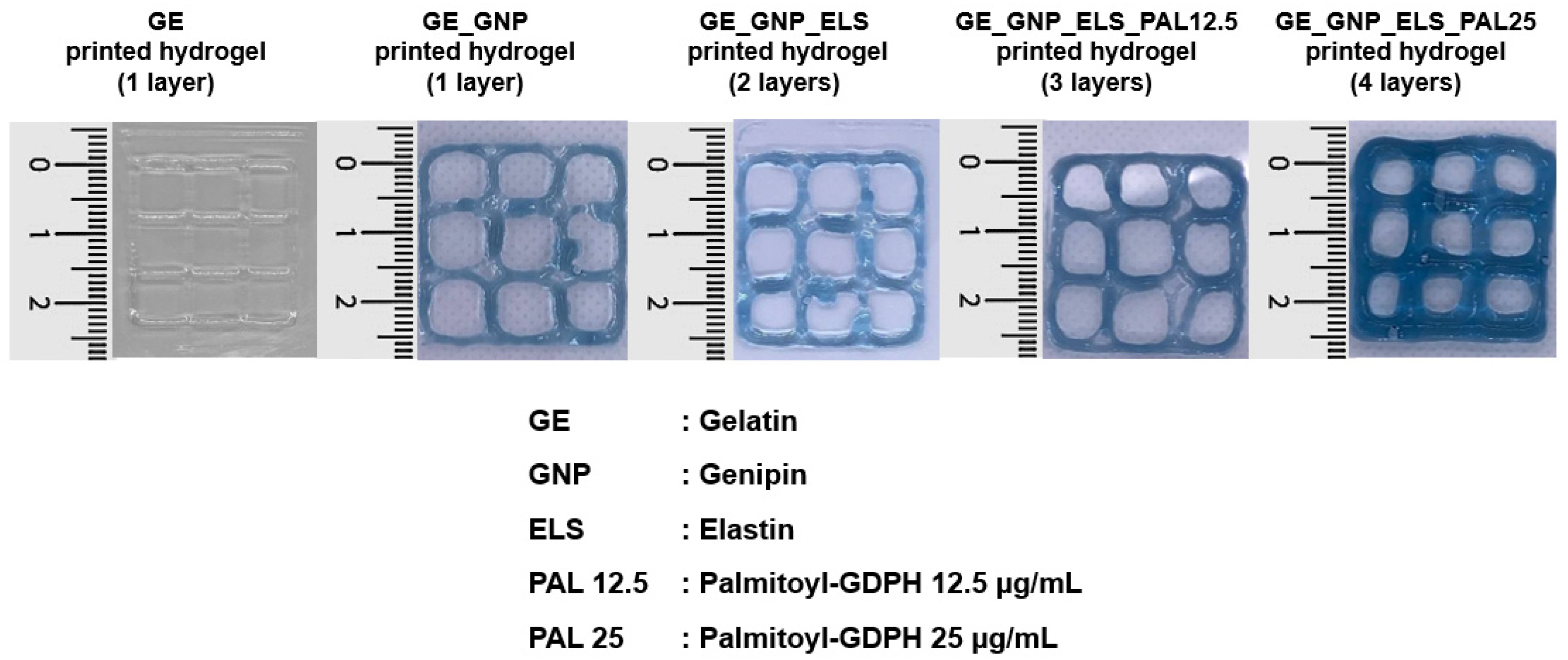 Polymers 17 00041 g008