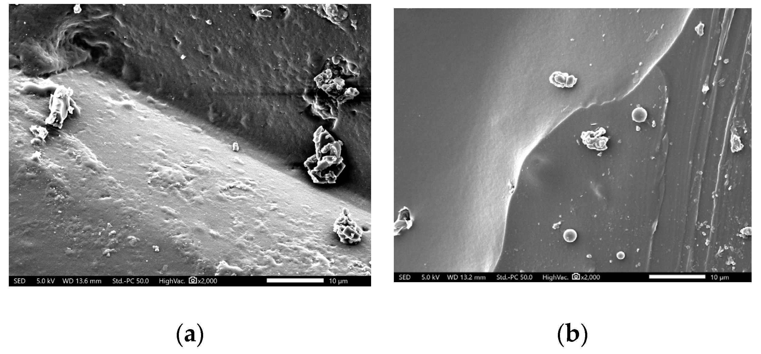 Polymers 17 00047 g006