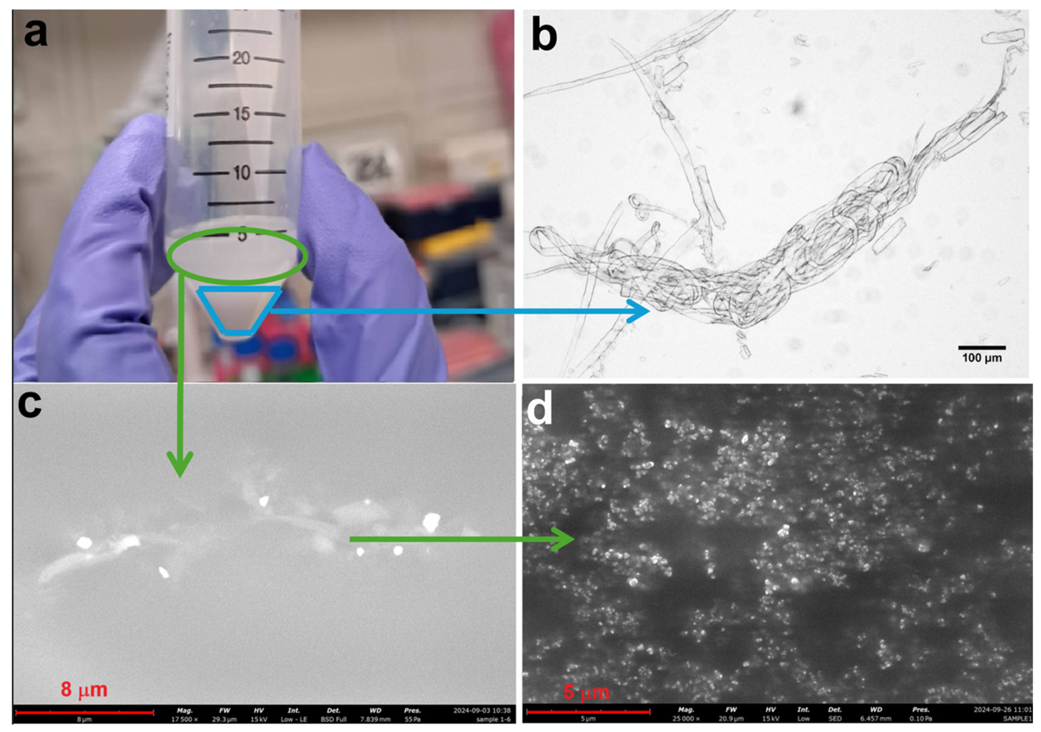 Polymers 17 00048 g005