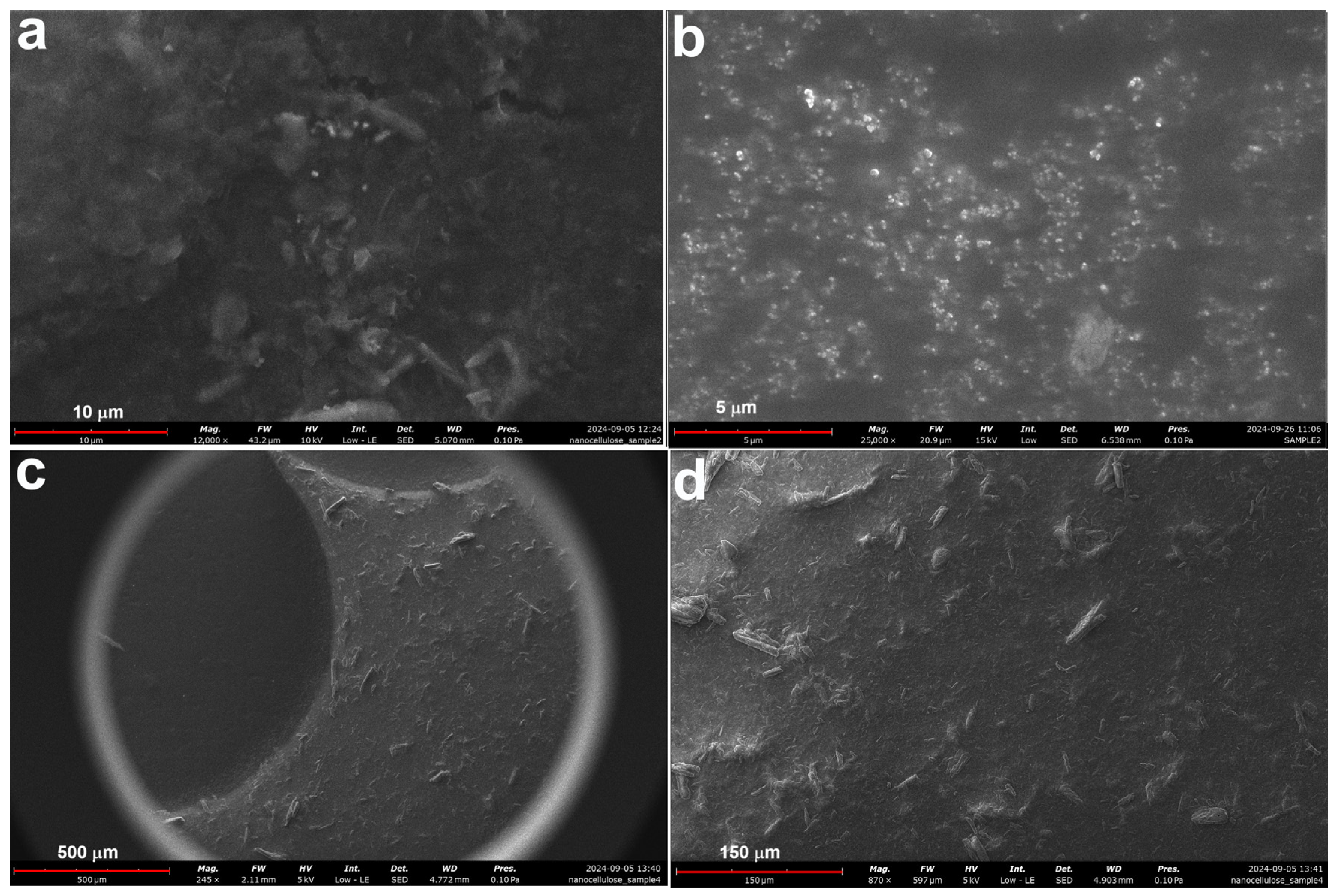 Polymers 17 00048 g007