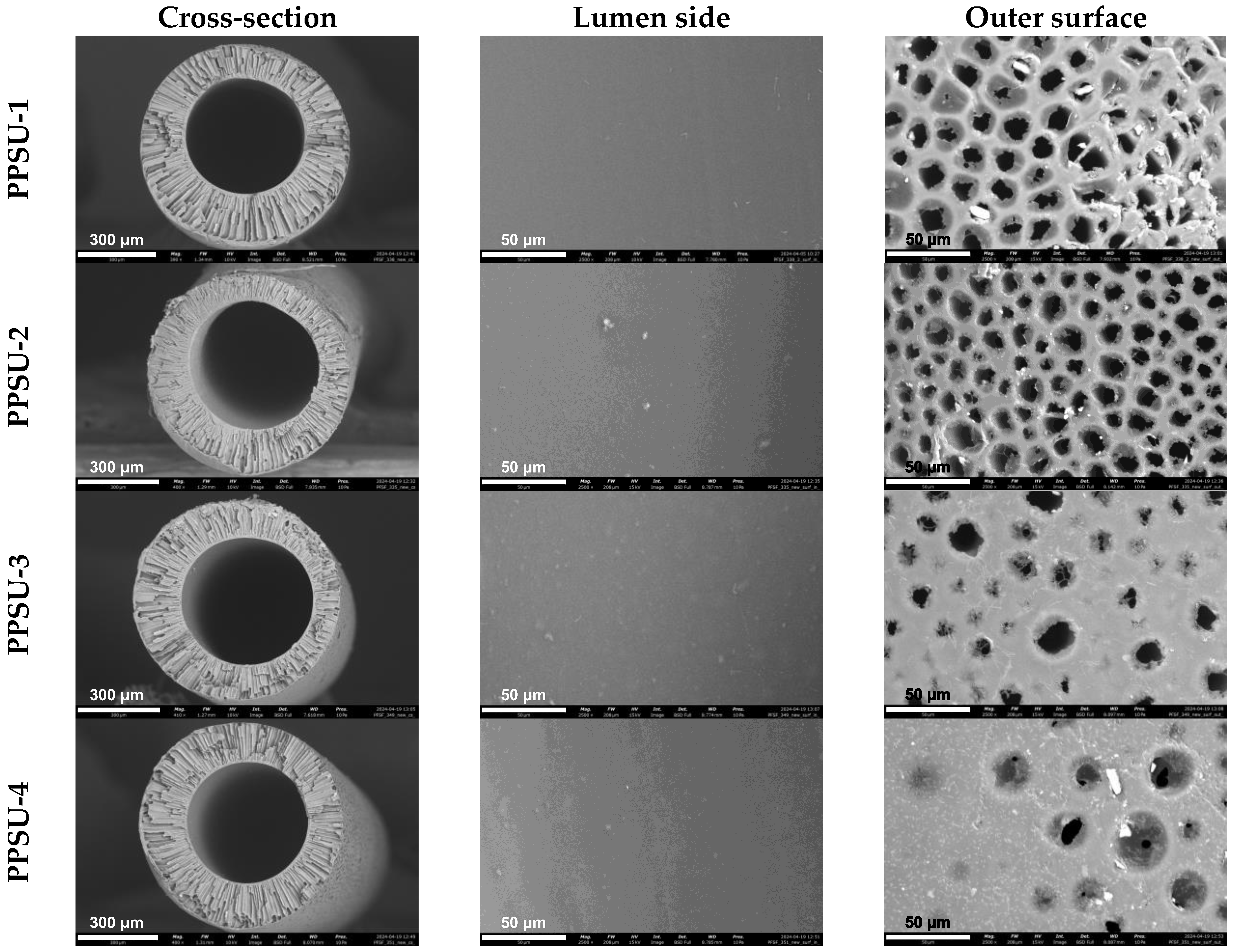 Polymers 17 00053 g004