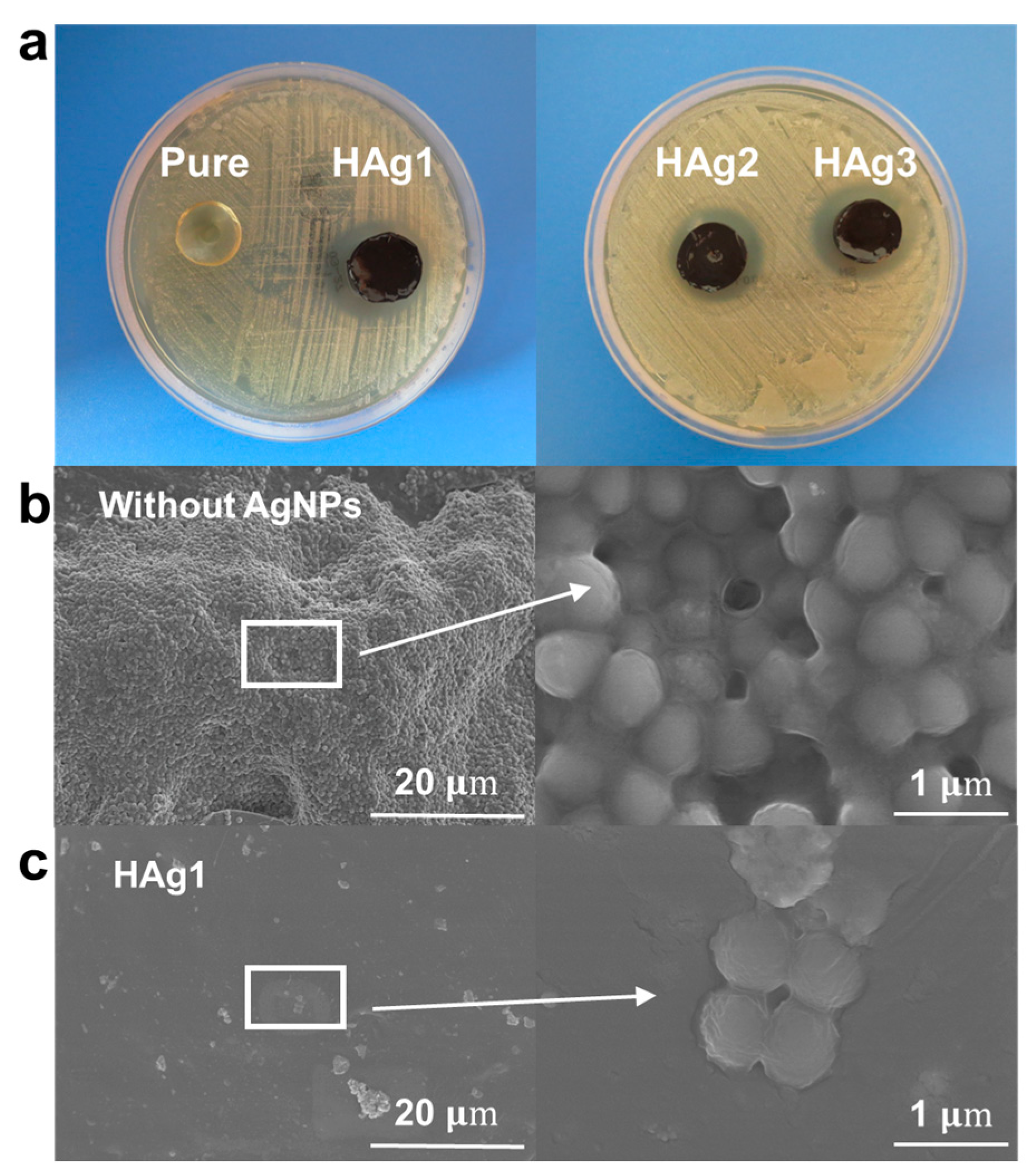 Polymers 17 00054 g005