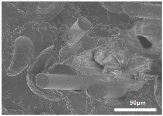 33個 Enhanced Mechanical and Acoustic Properties of Basalt Fiber