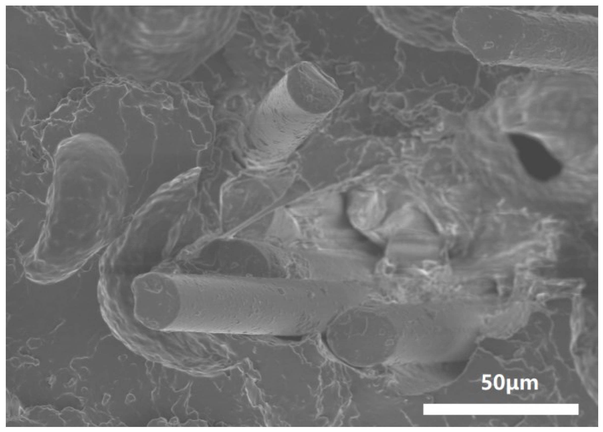 Polymers 17 00061 g011