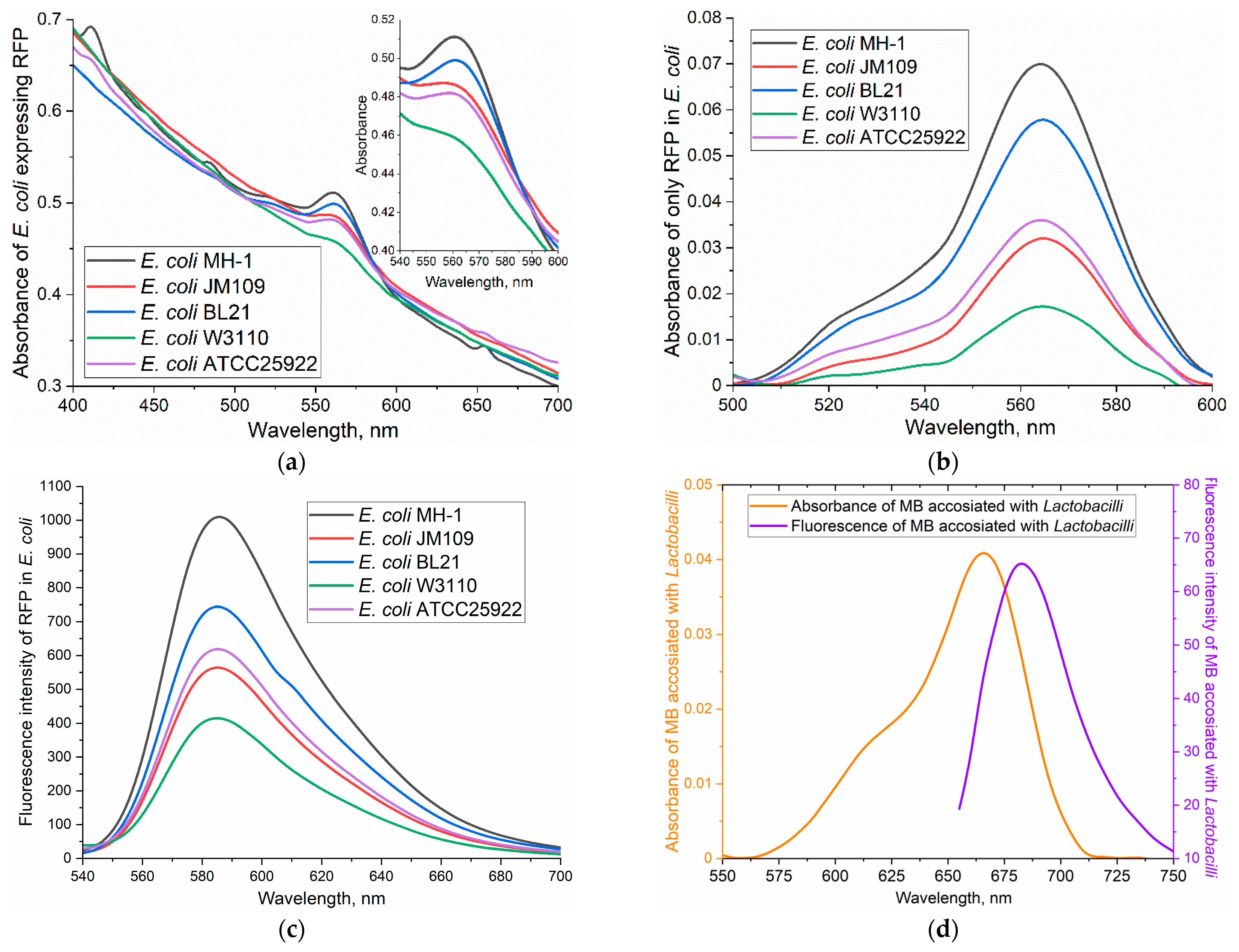 Polymers 17 00065 g001