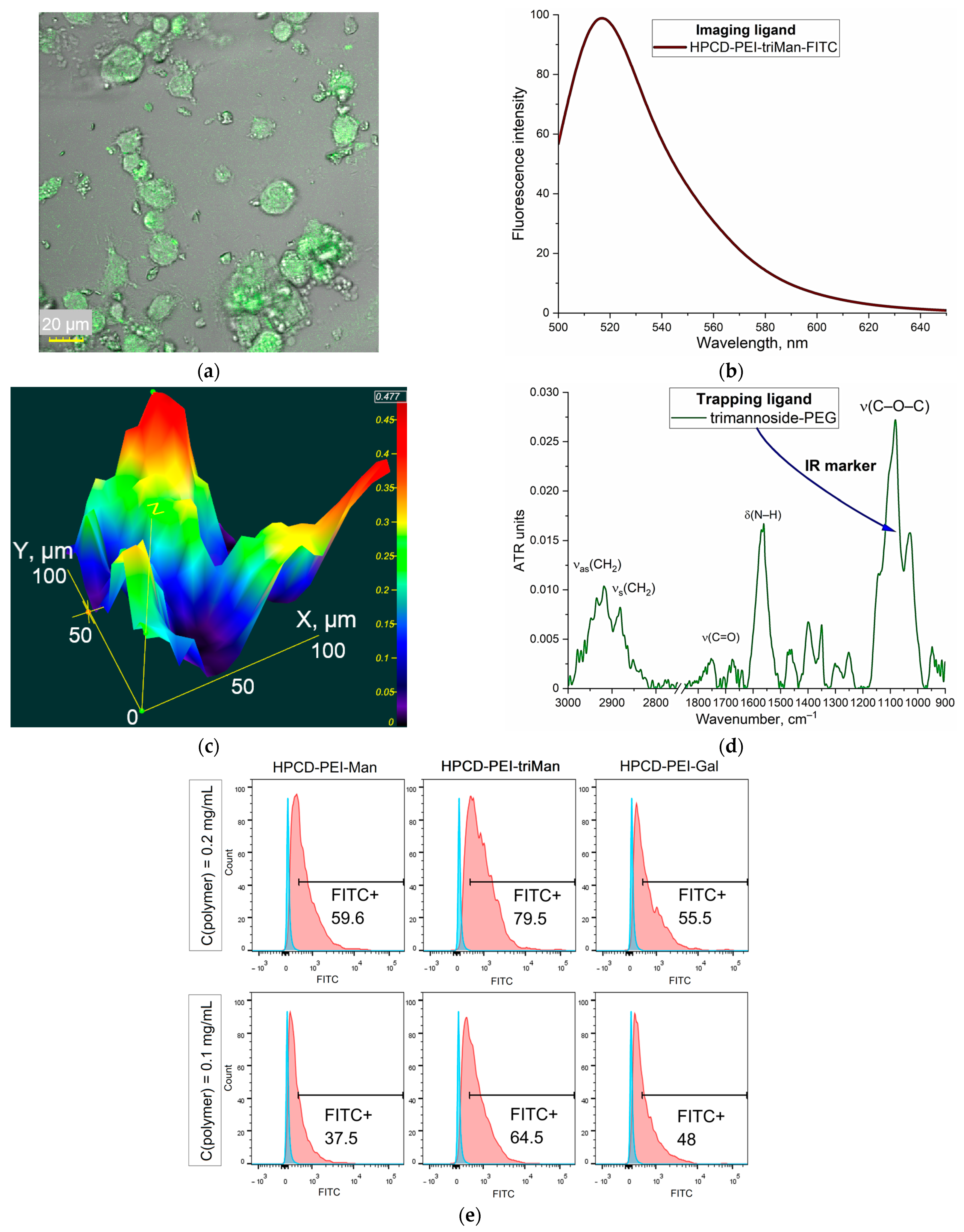 Polymers 17 00065 g004
