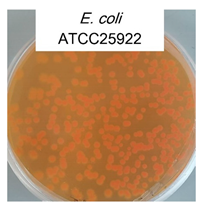 Polymers 17 00065 i015