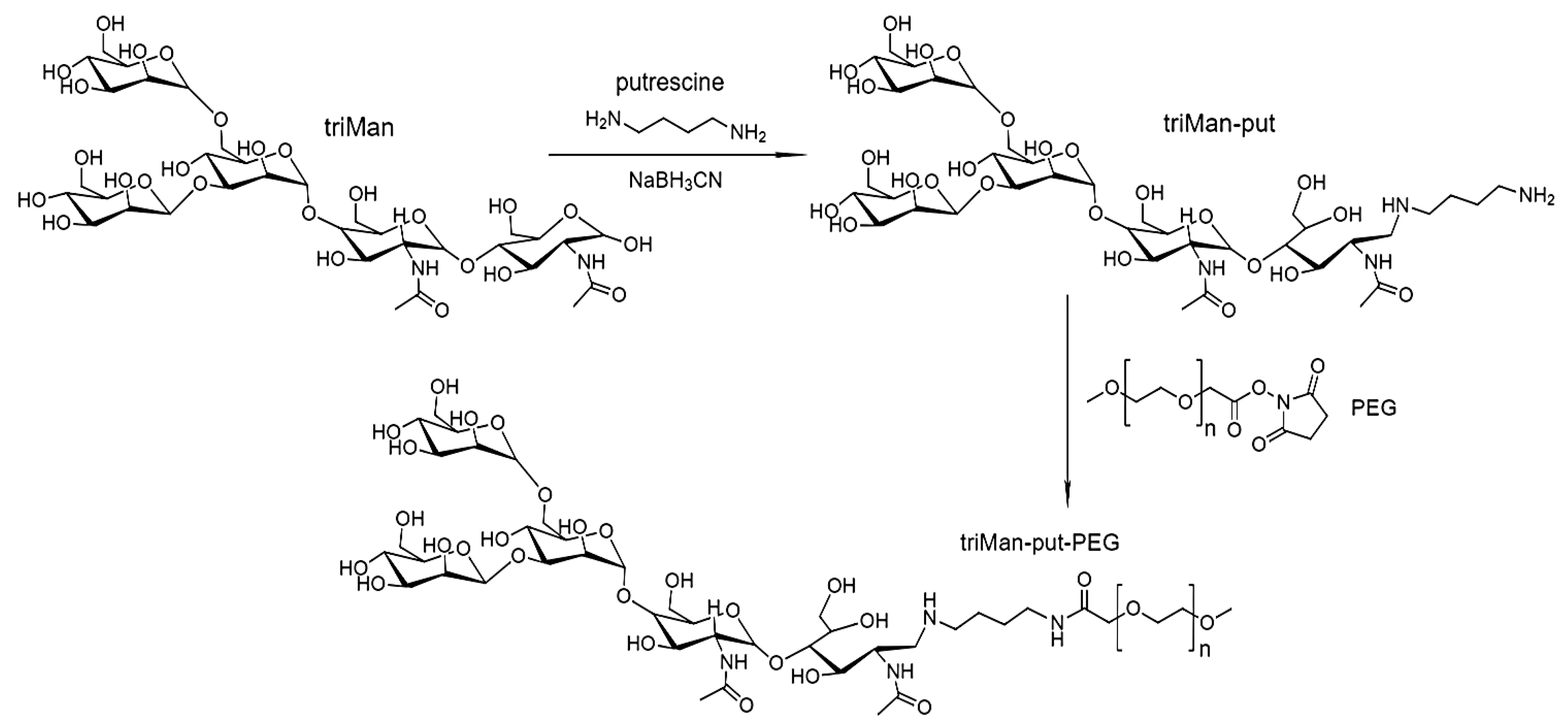 Polymers 17 00065 sch001