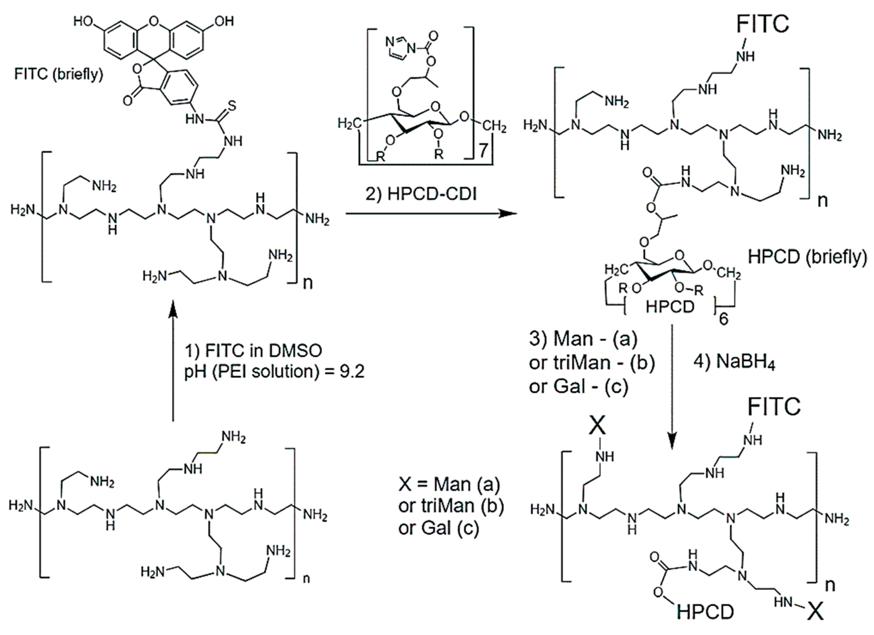 Polymers 17 00065 sch002