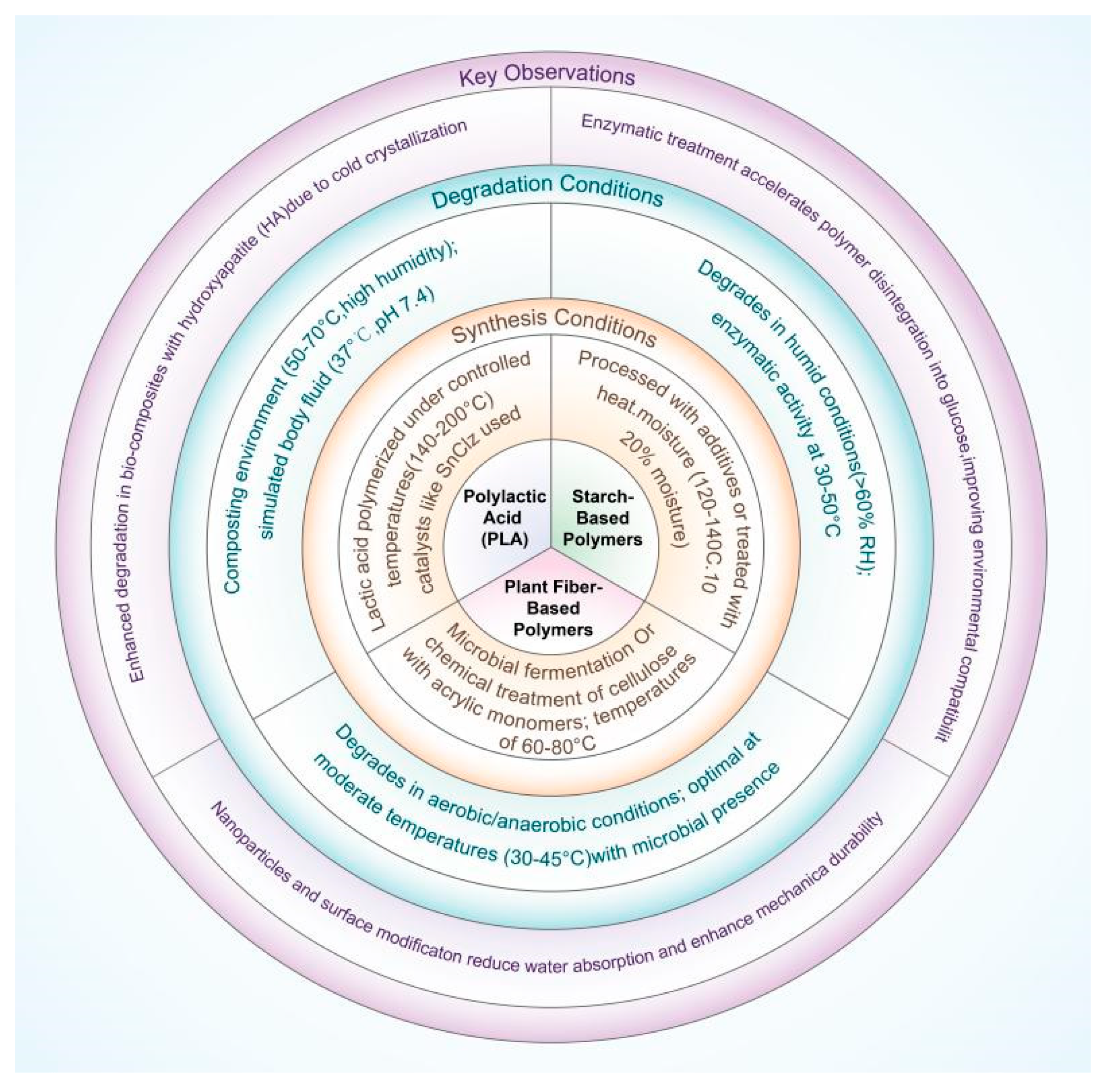 Polymers 17 00066 g001