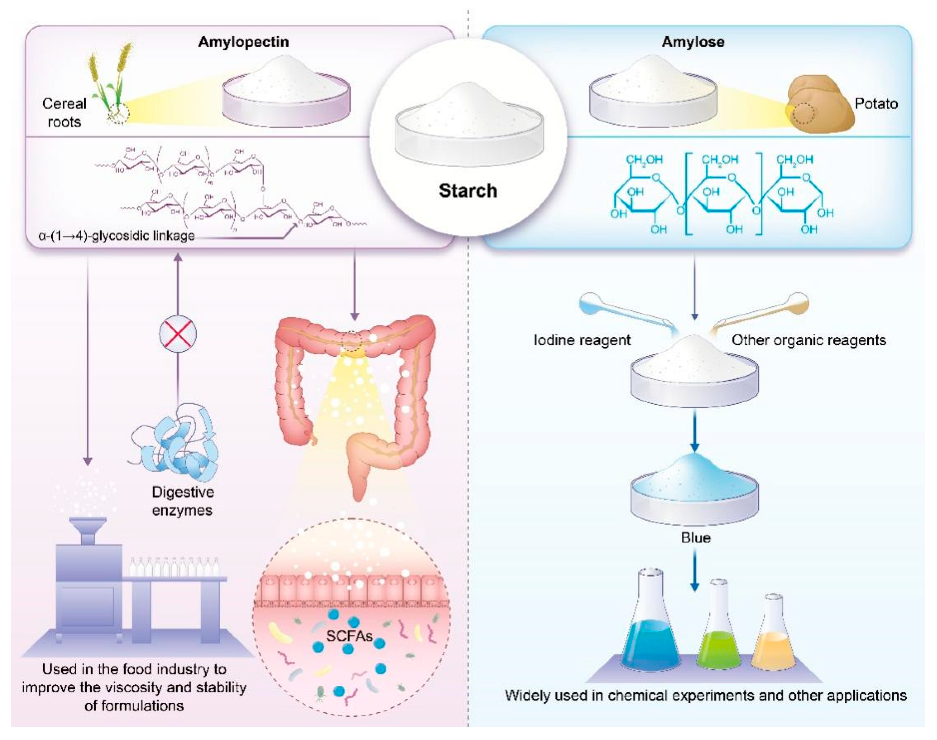 Polymers 17 00066 g004