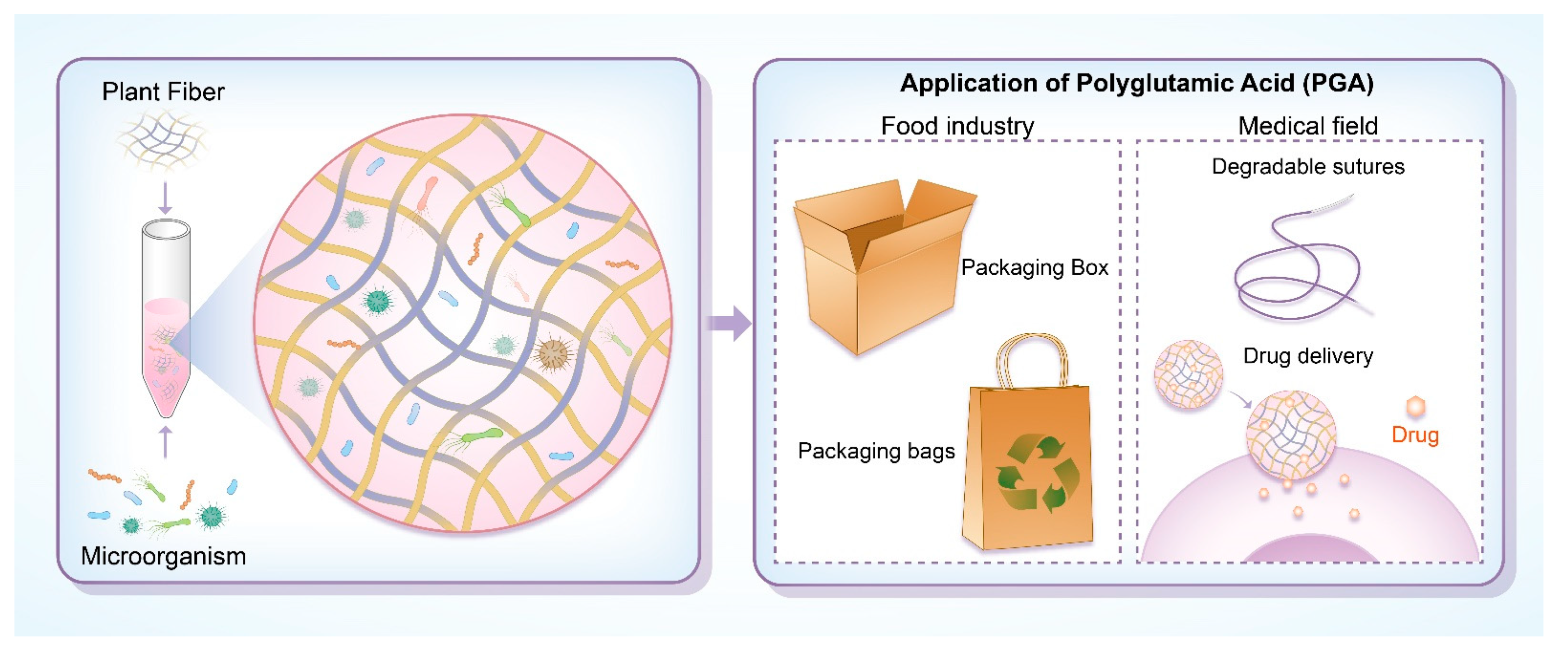Polymers 17 00066 g006