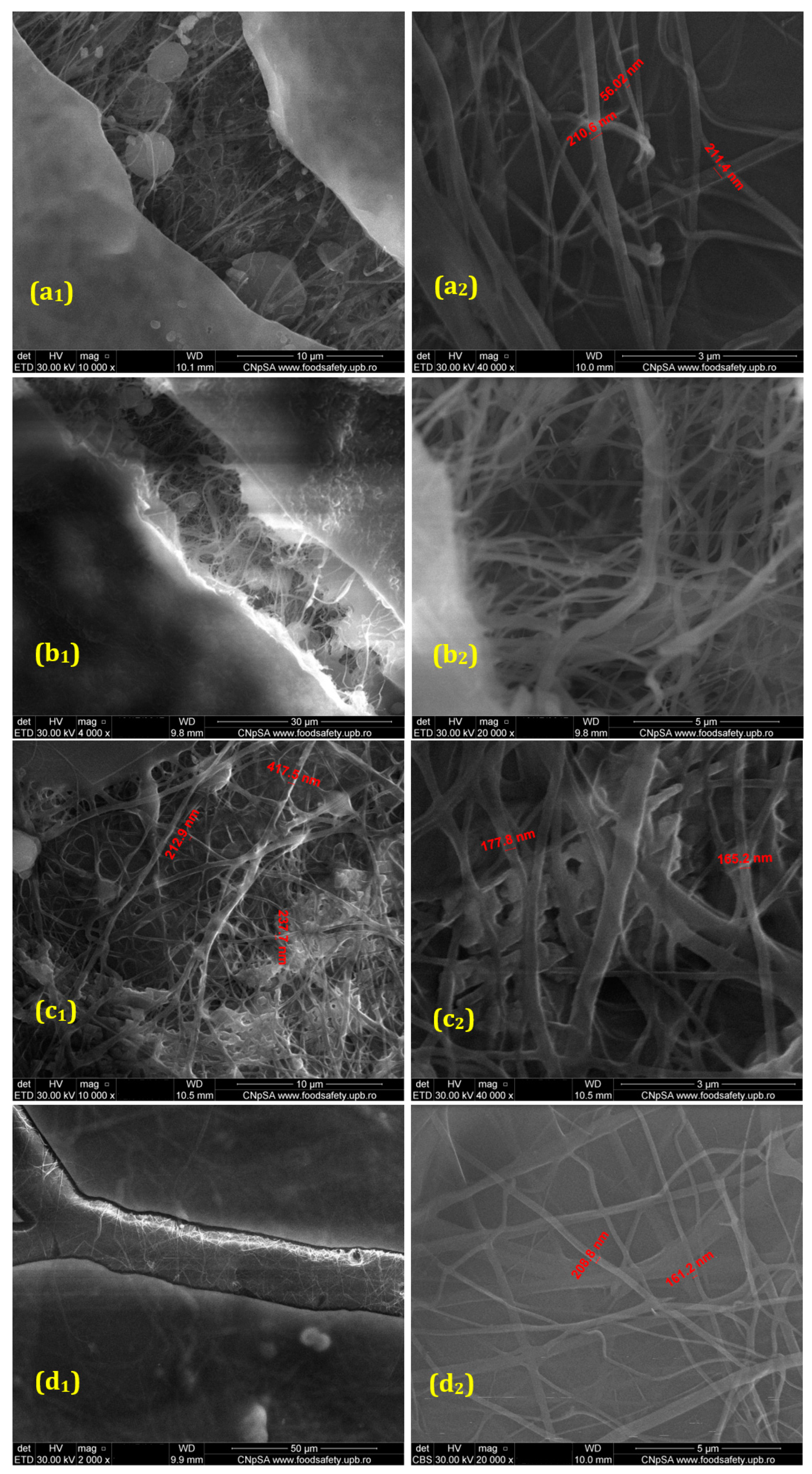 Polymers 17 00068 g001