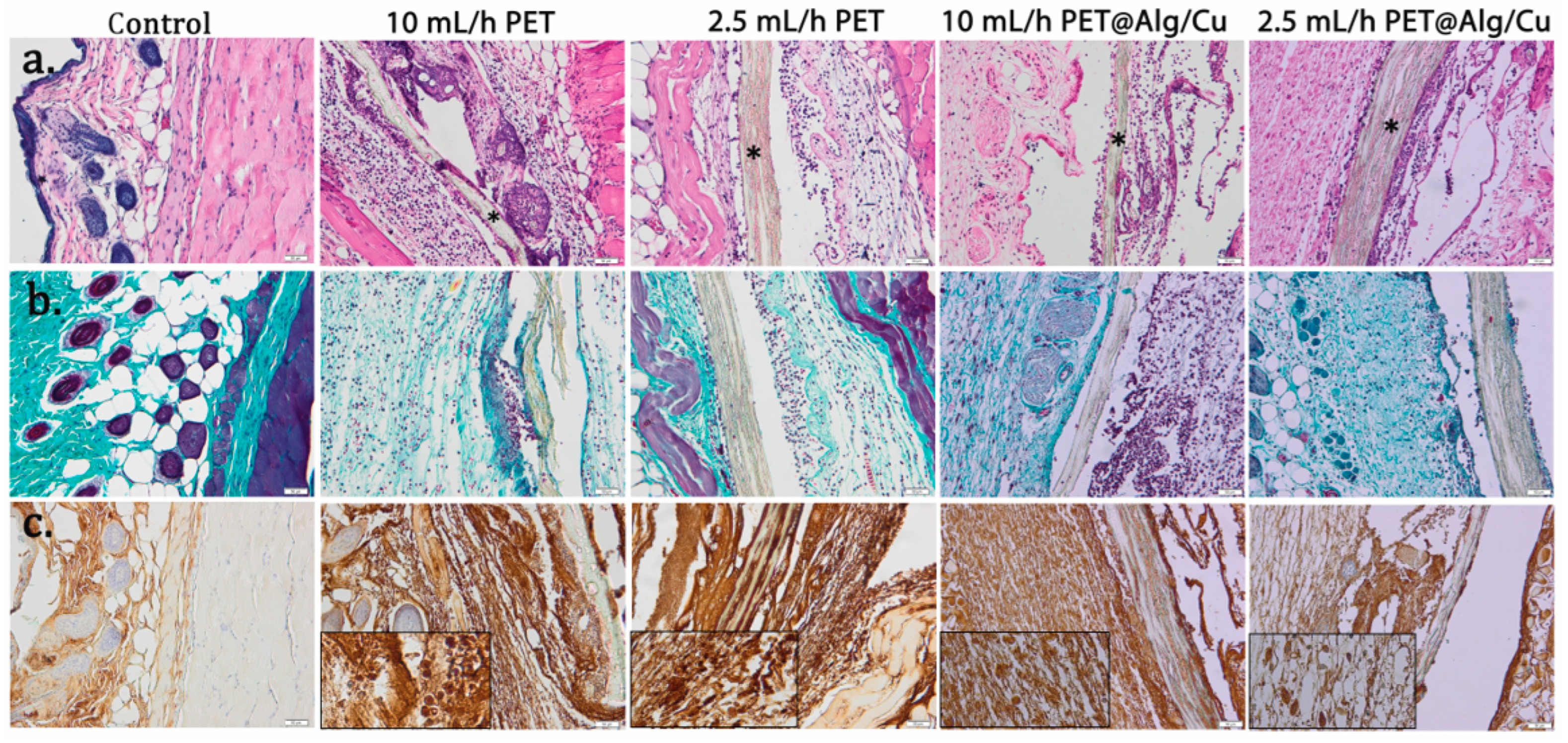 Polymers 17 00068 g011