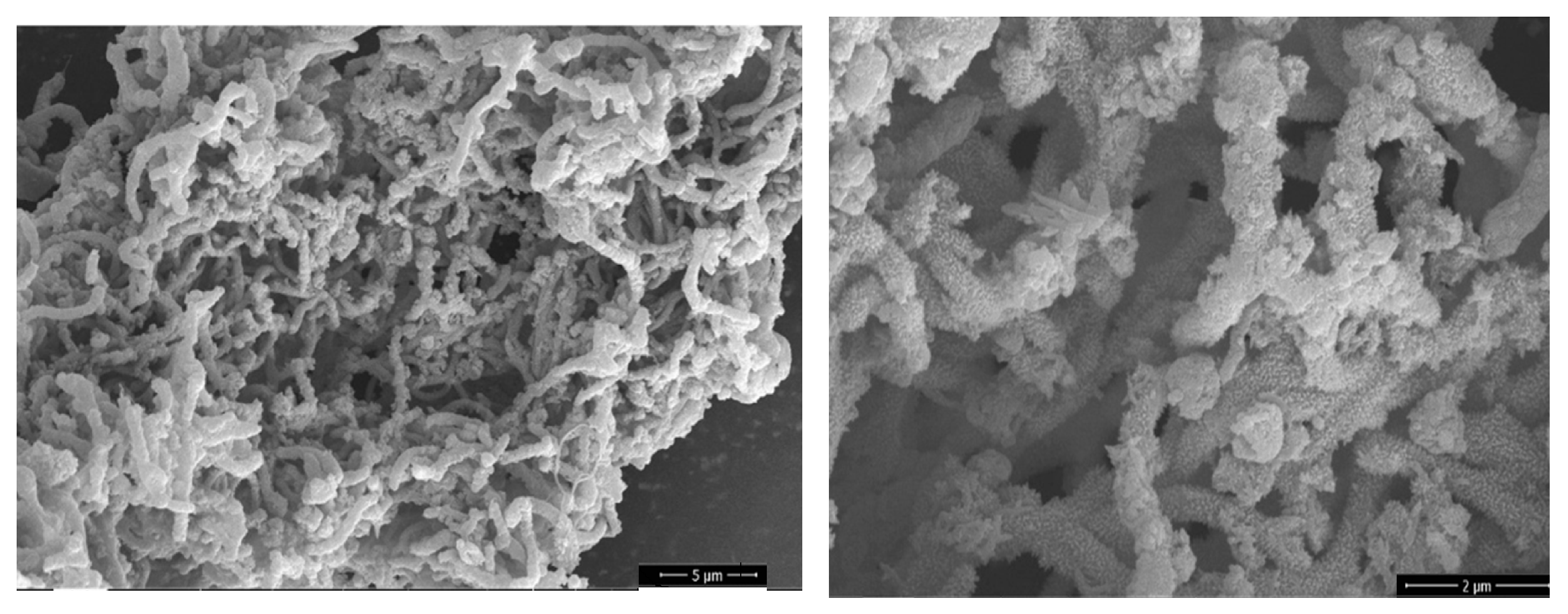 Polymers 17 00071 g007