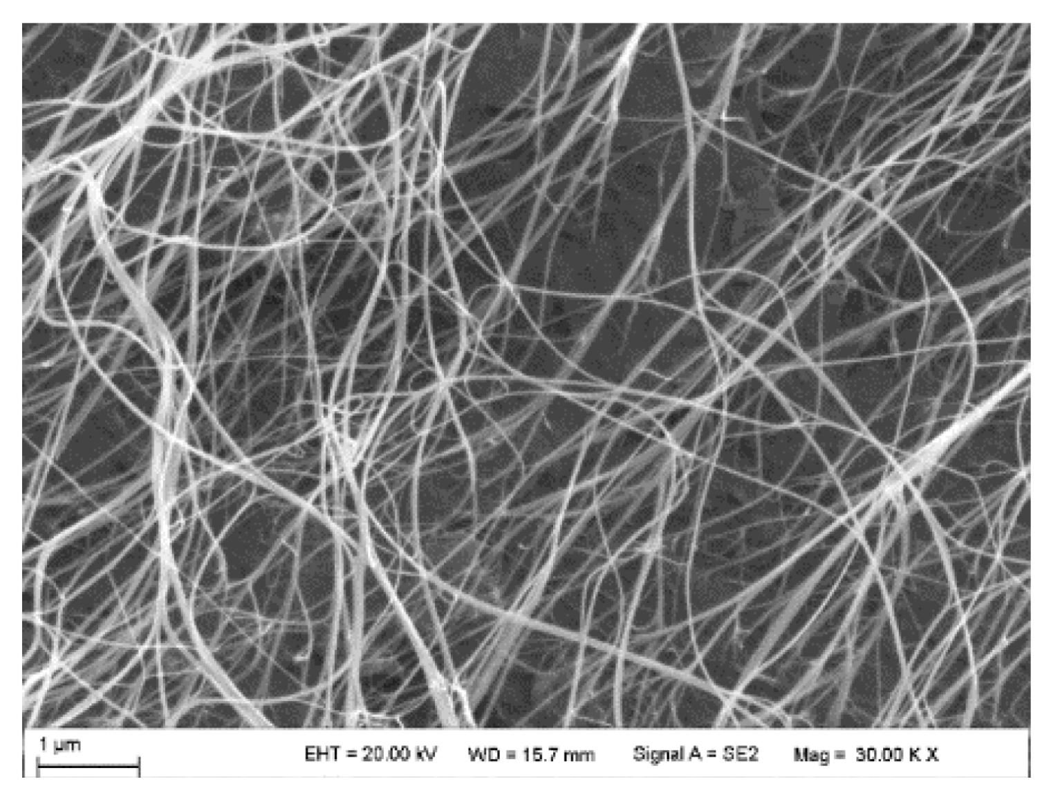 Polymers 17 00071 g010