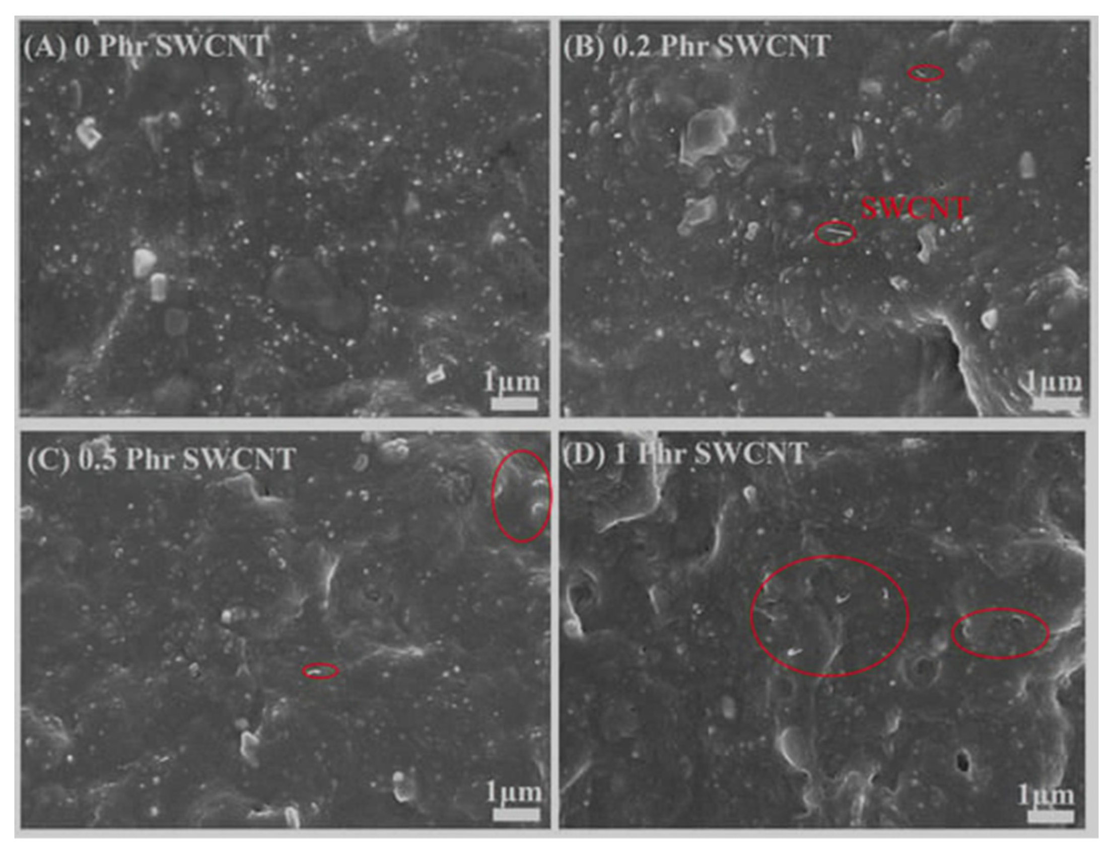 Polymers 17 00071 g014