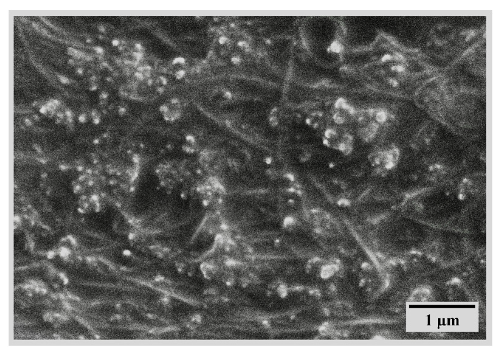 Polymers 17 00071 g015