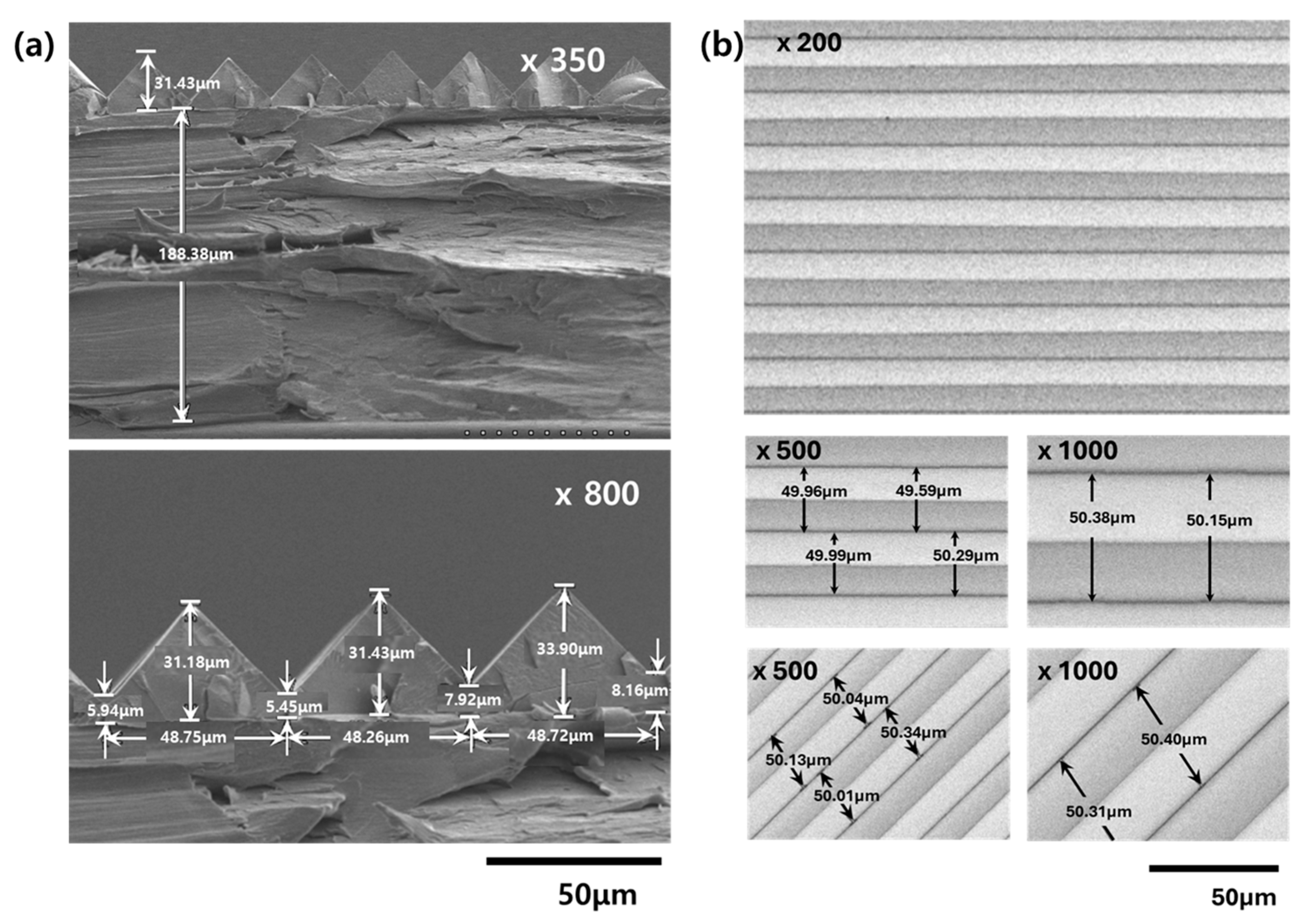 Polymers 17 00076 g009