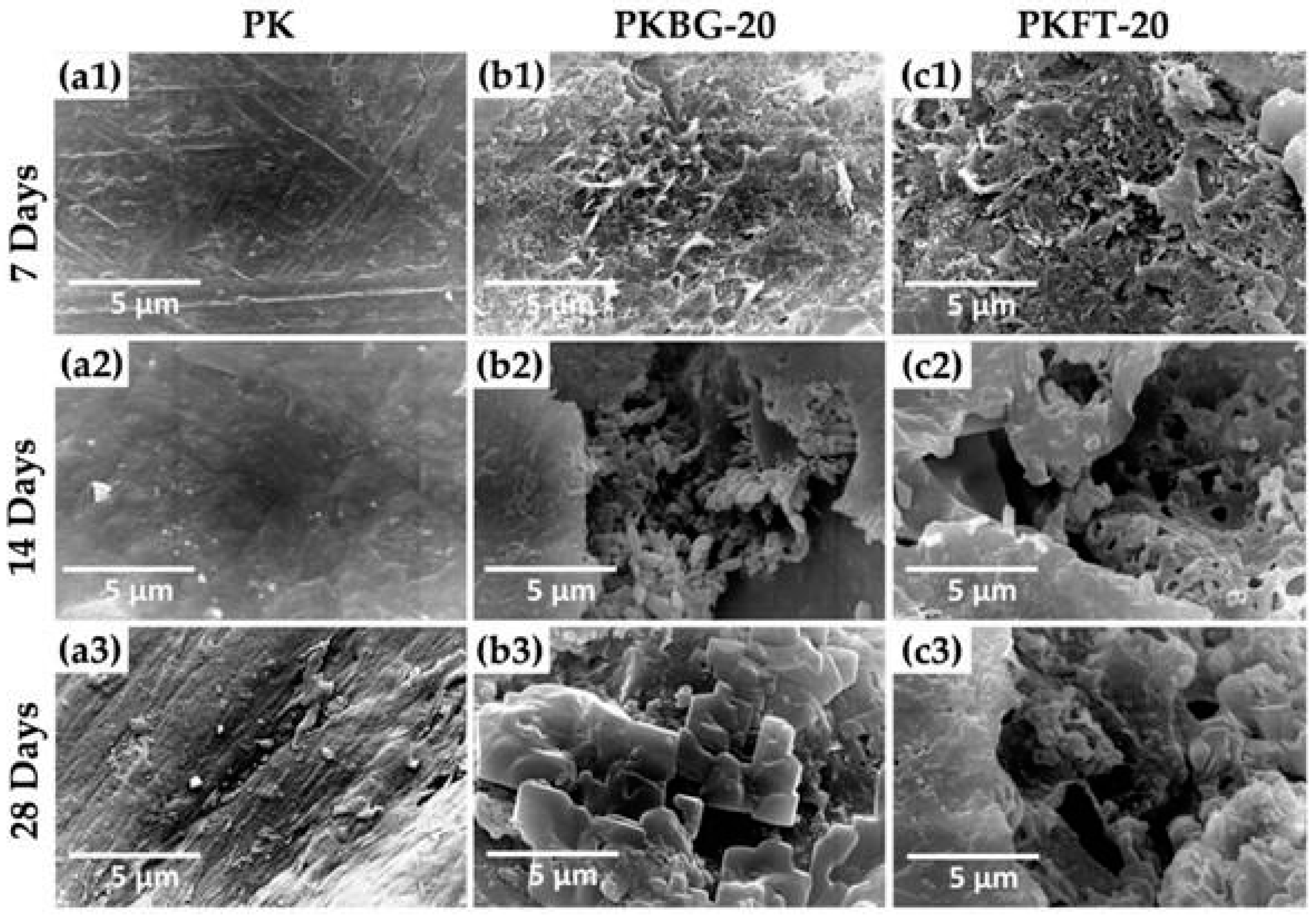 Polymers 17 00080 g004