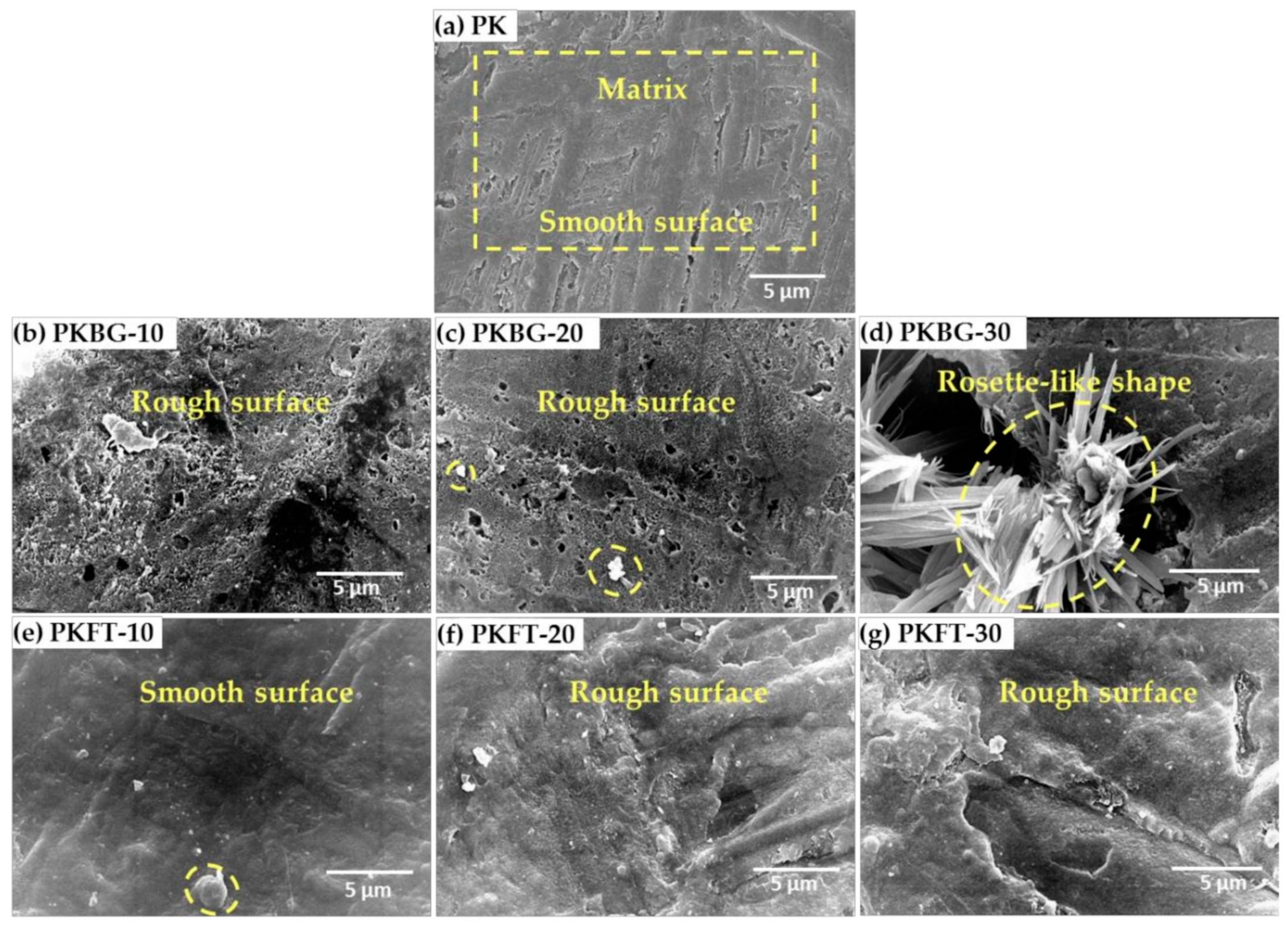 Polymers 17 00080 g005
