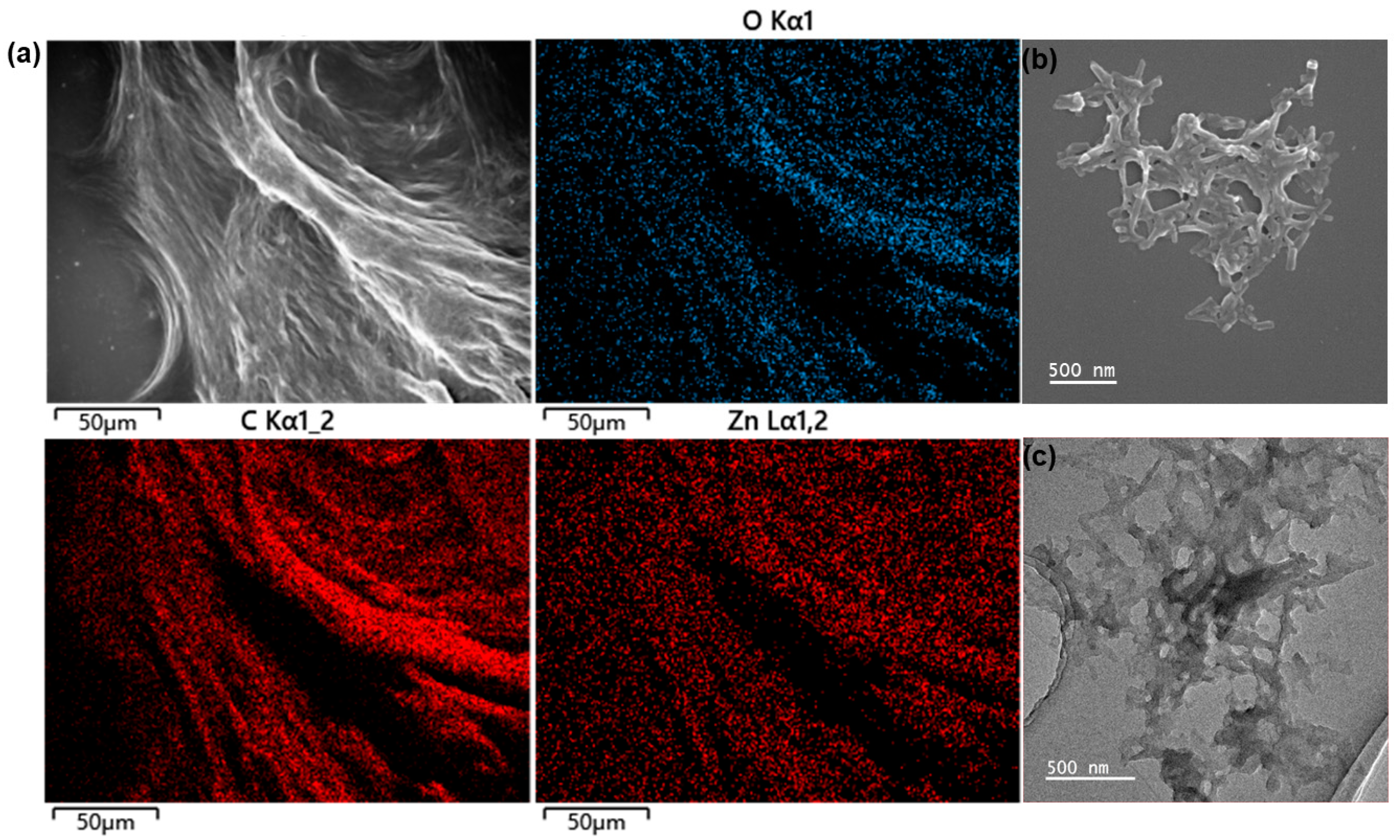 Polymers 17 00087 g002