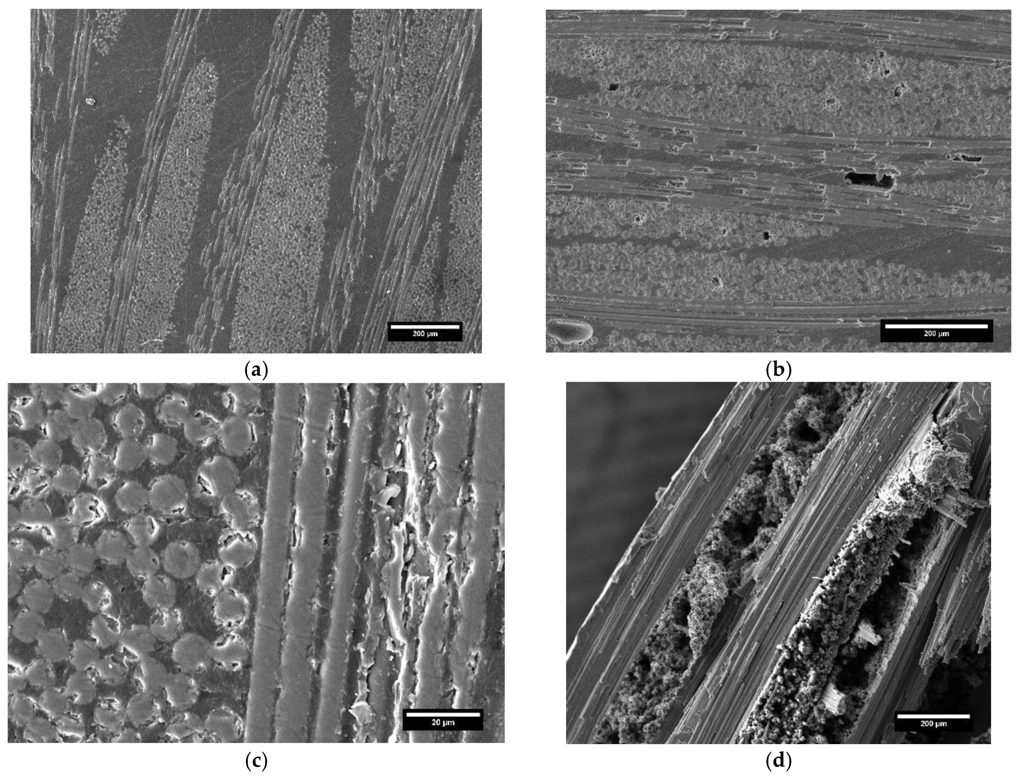 Polymers 17 00088 g009