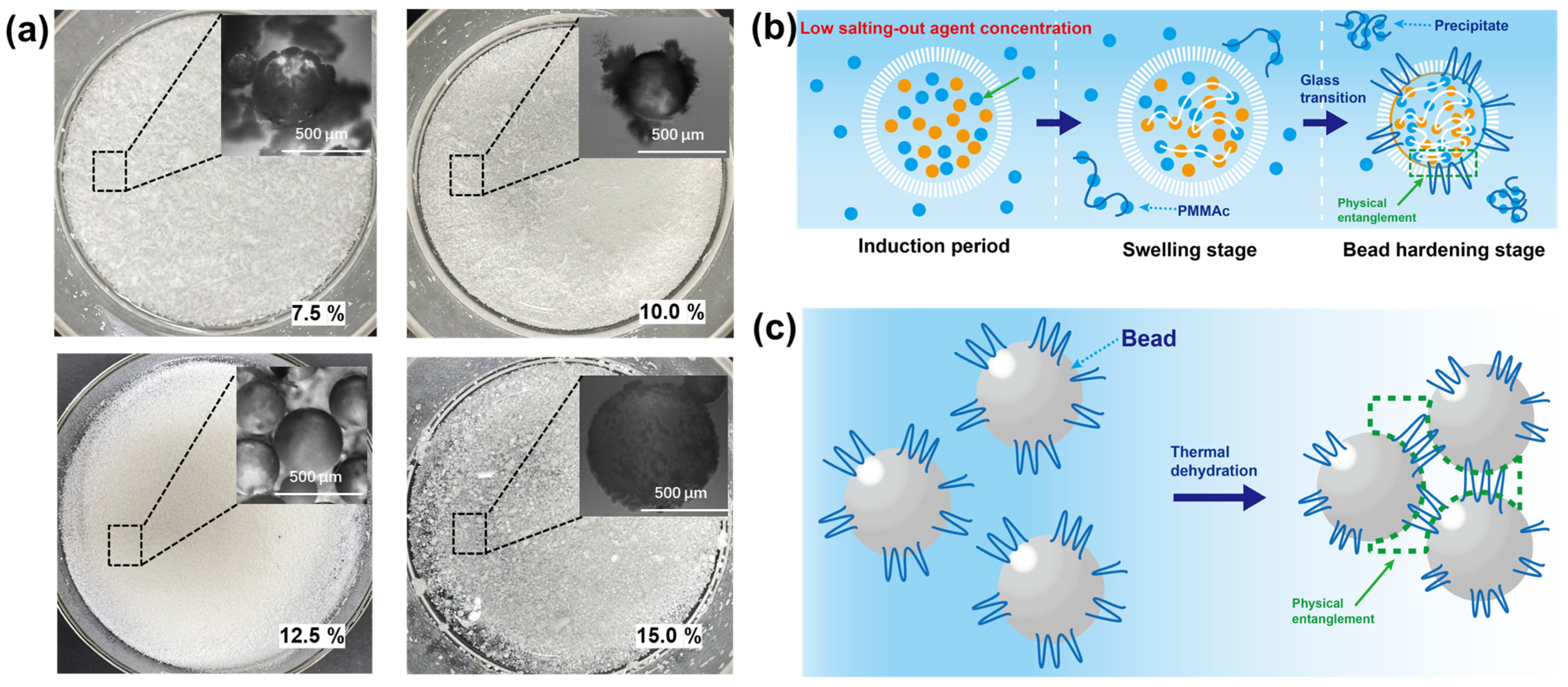 Polymers 17 00089 g002