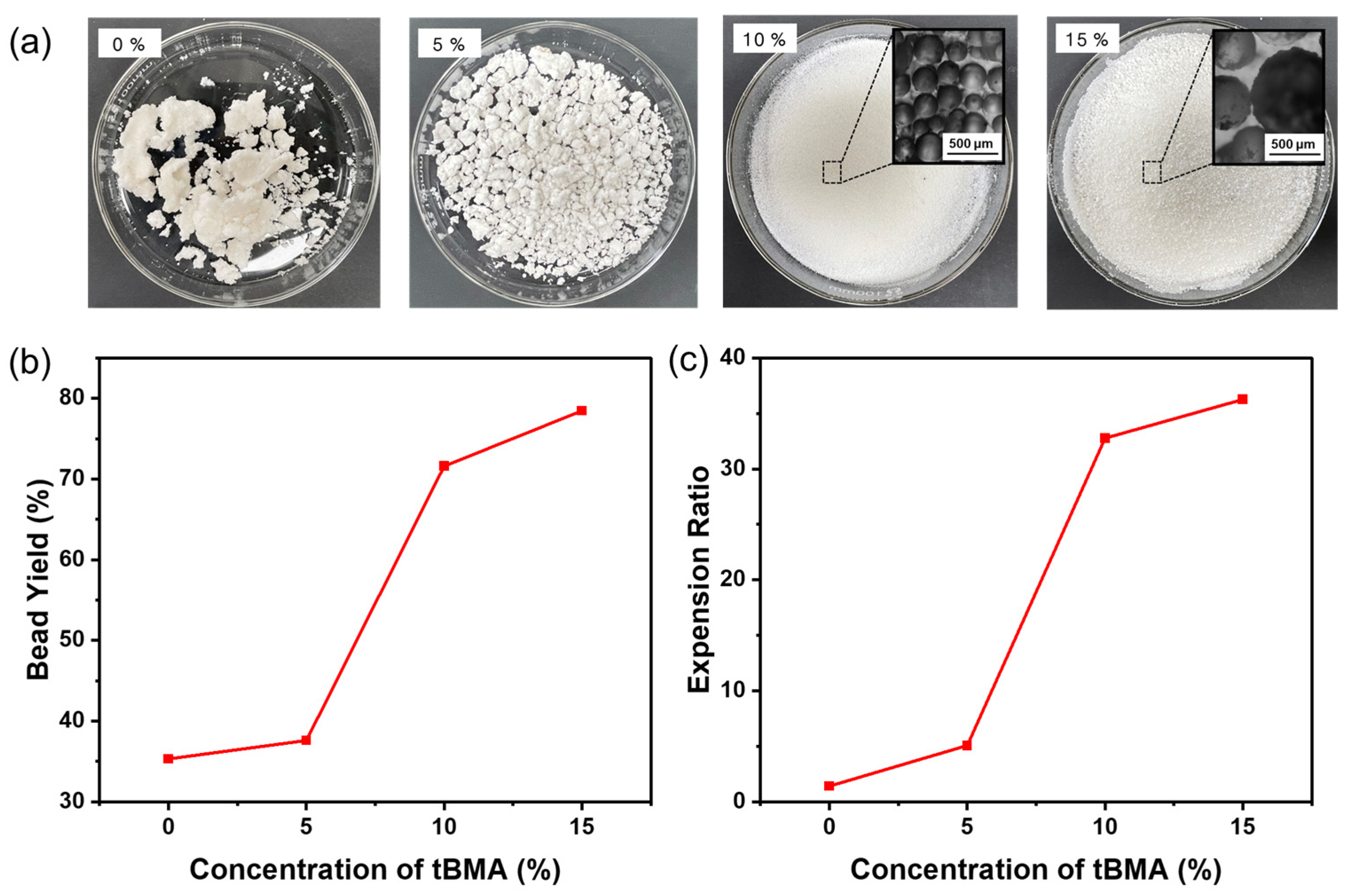 Polymers 17 00089 g005