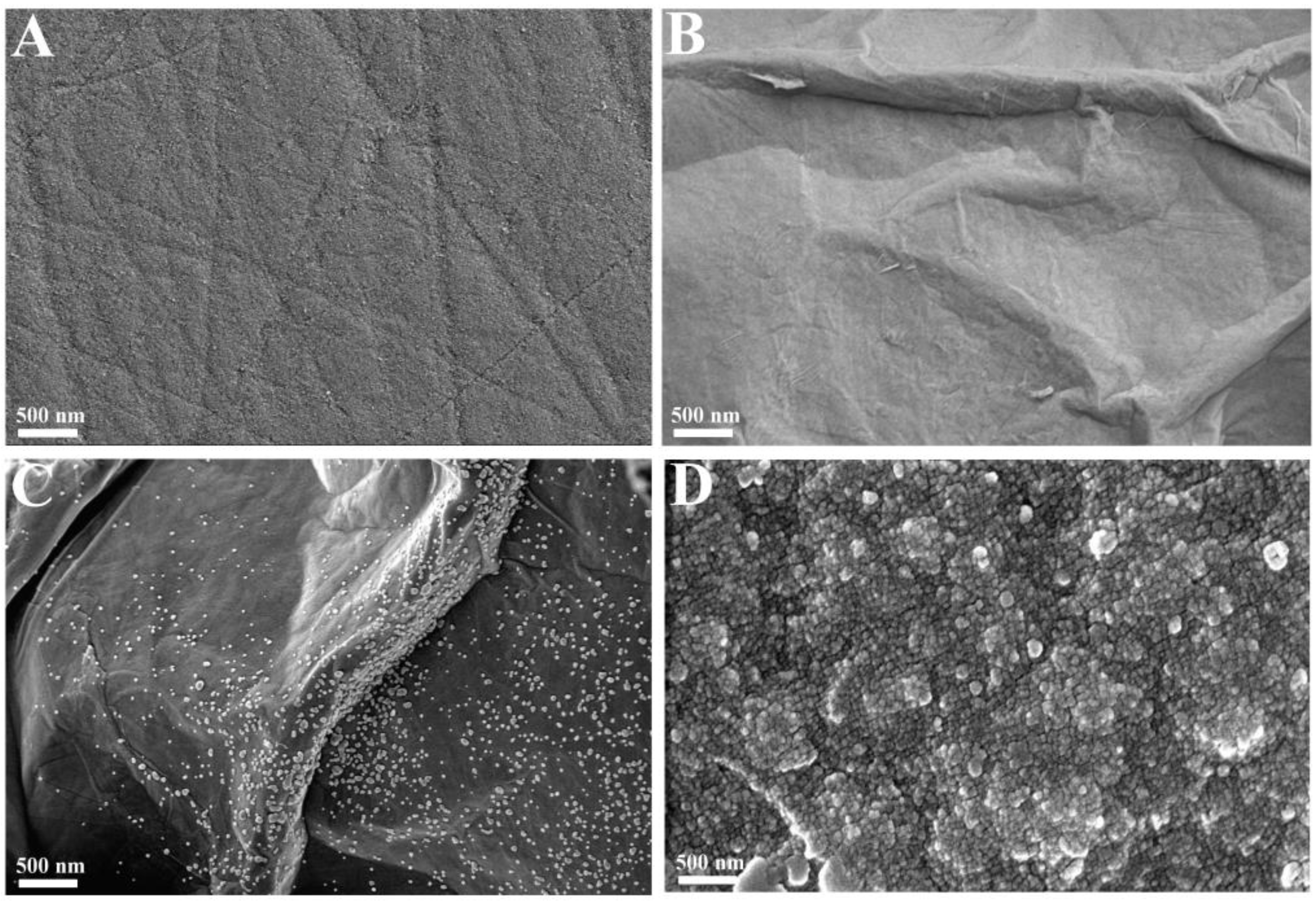 Polymers 17 00092 g003