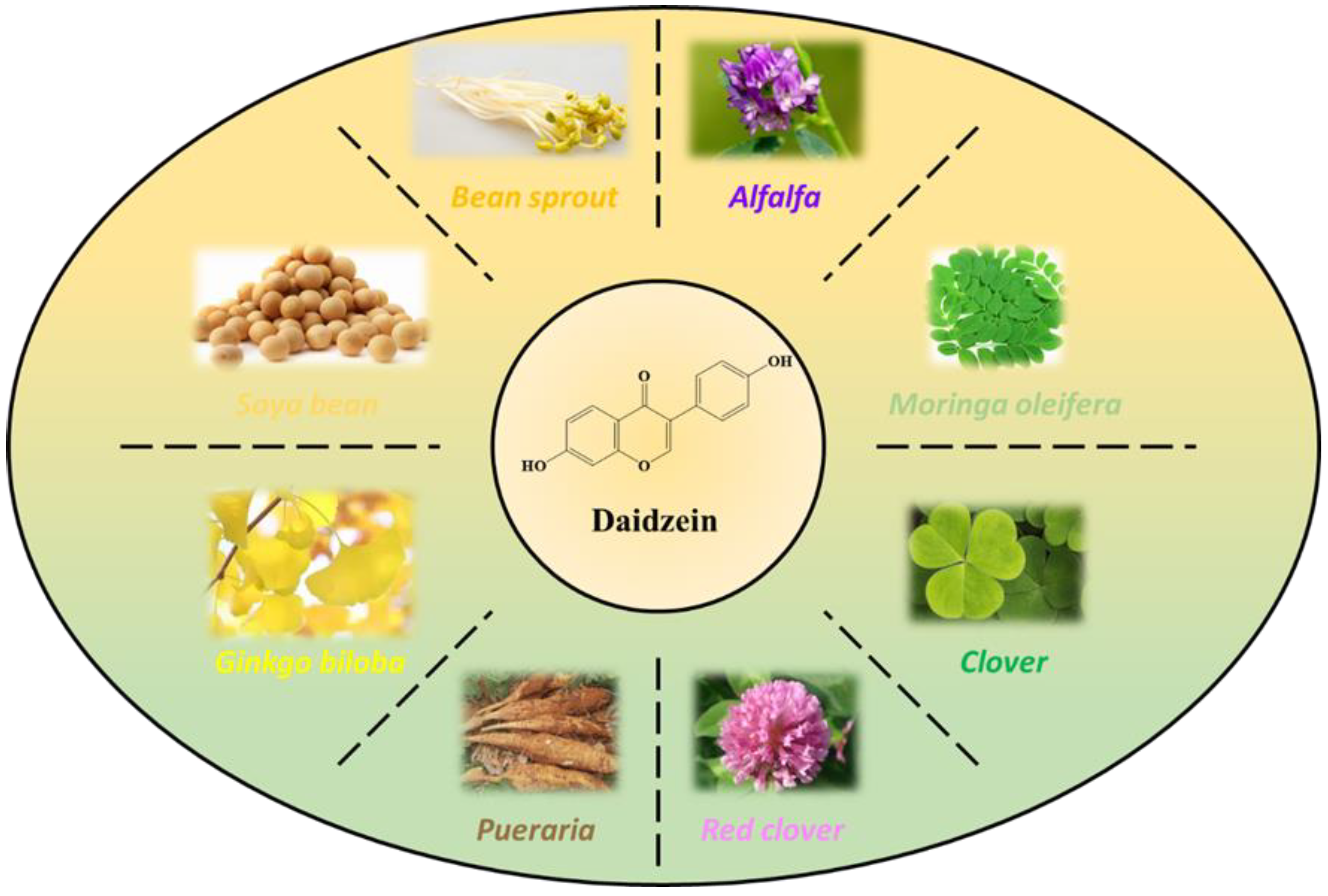 Polymers 17 00094 g002