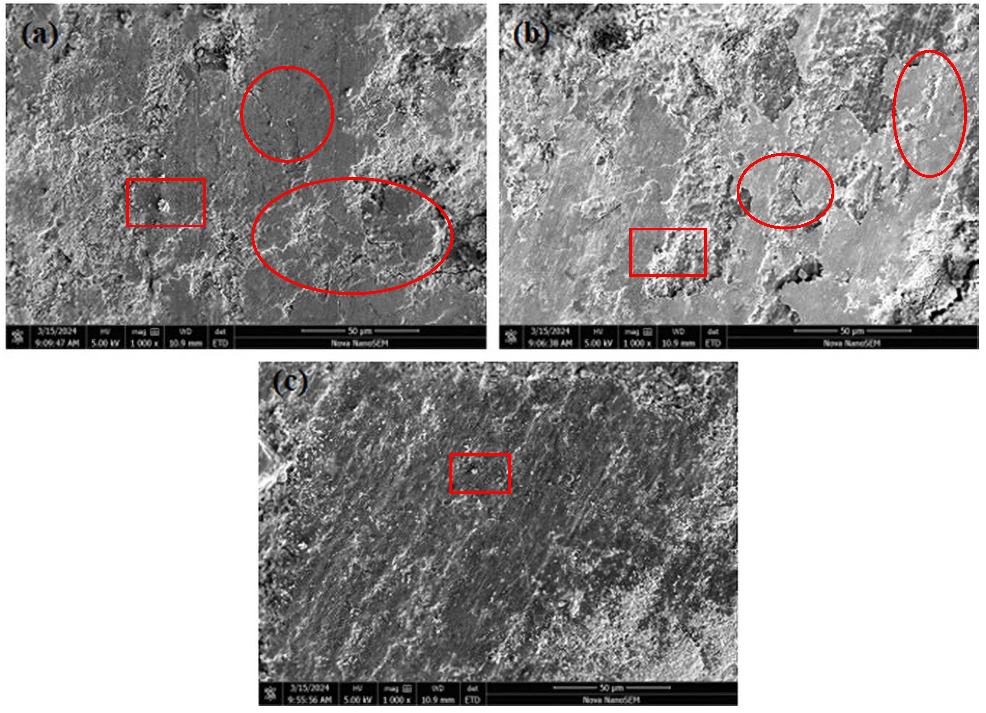 Polymers 17 00094 g012