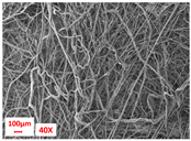 Polymers 17 00101 i001