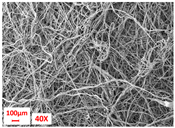 Polymers 17 00101 i003