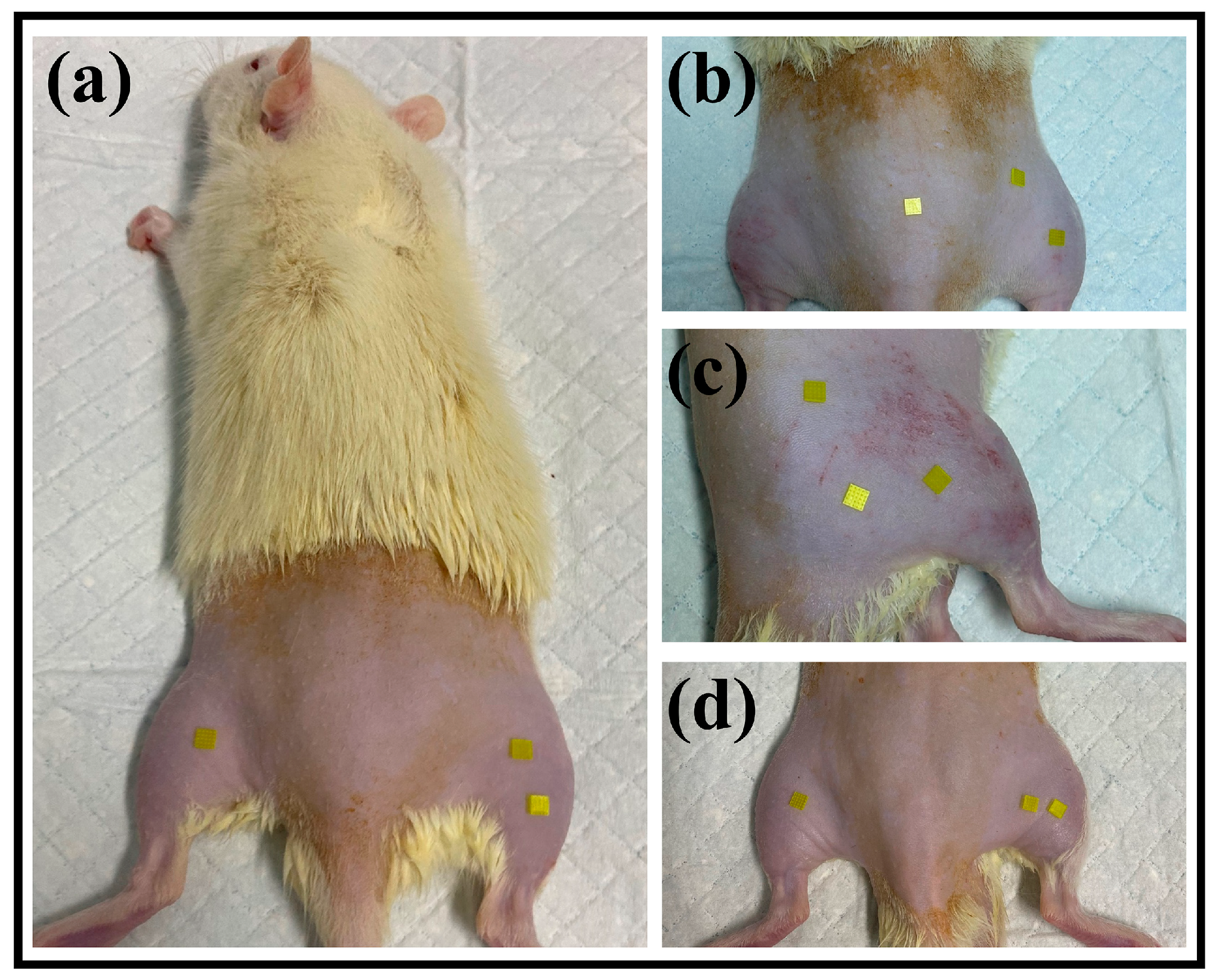Polymers 17 00104 g002