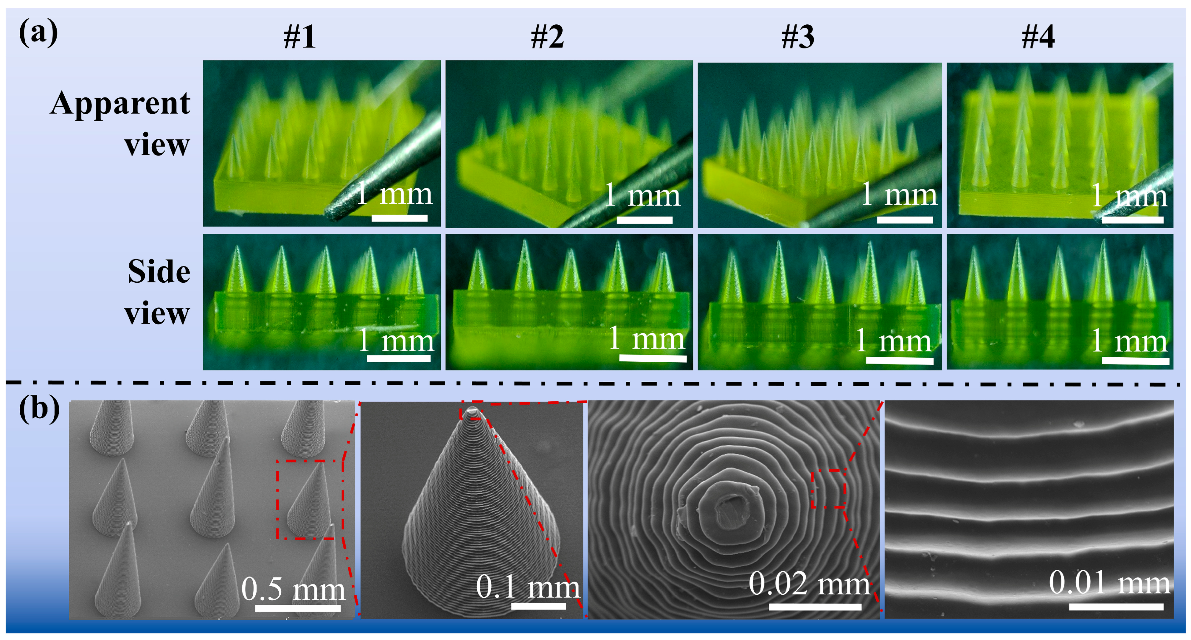 Polymers 17 00104 g004