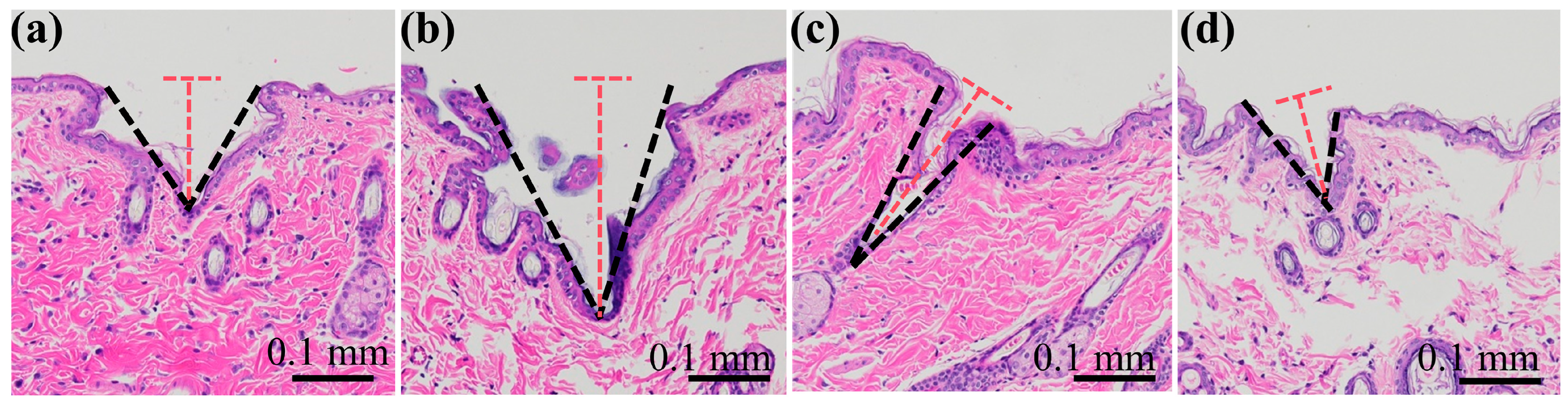 Polymers 17 00104 g007