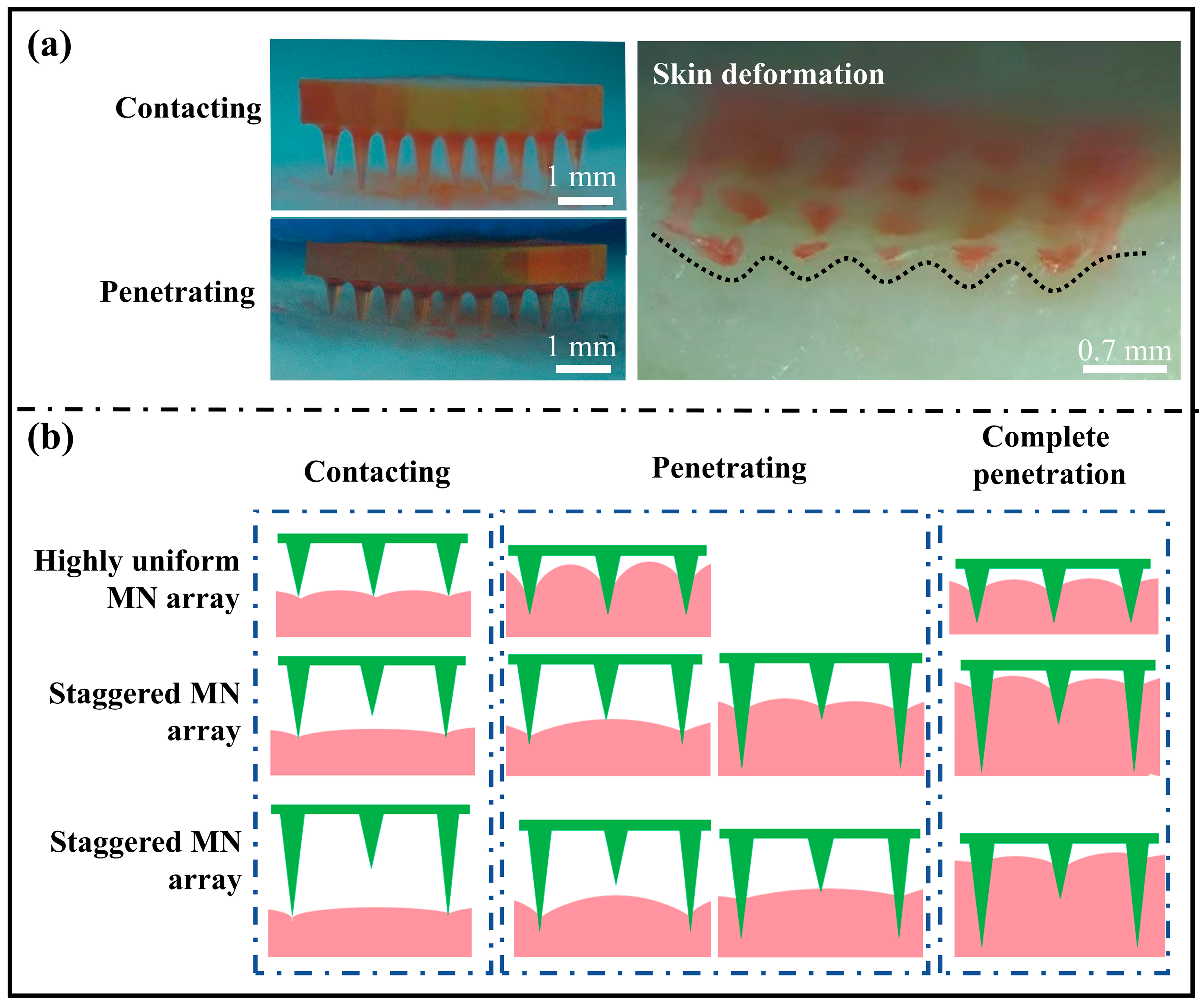 Polymers 17 00104 g008