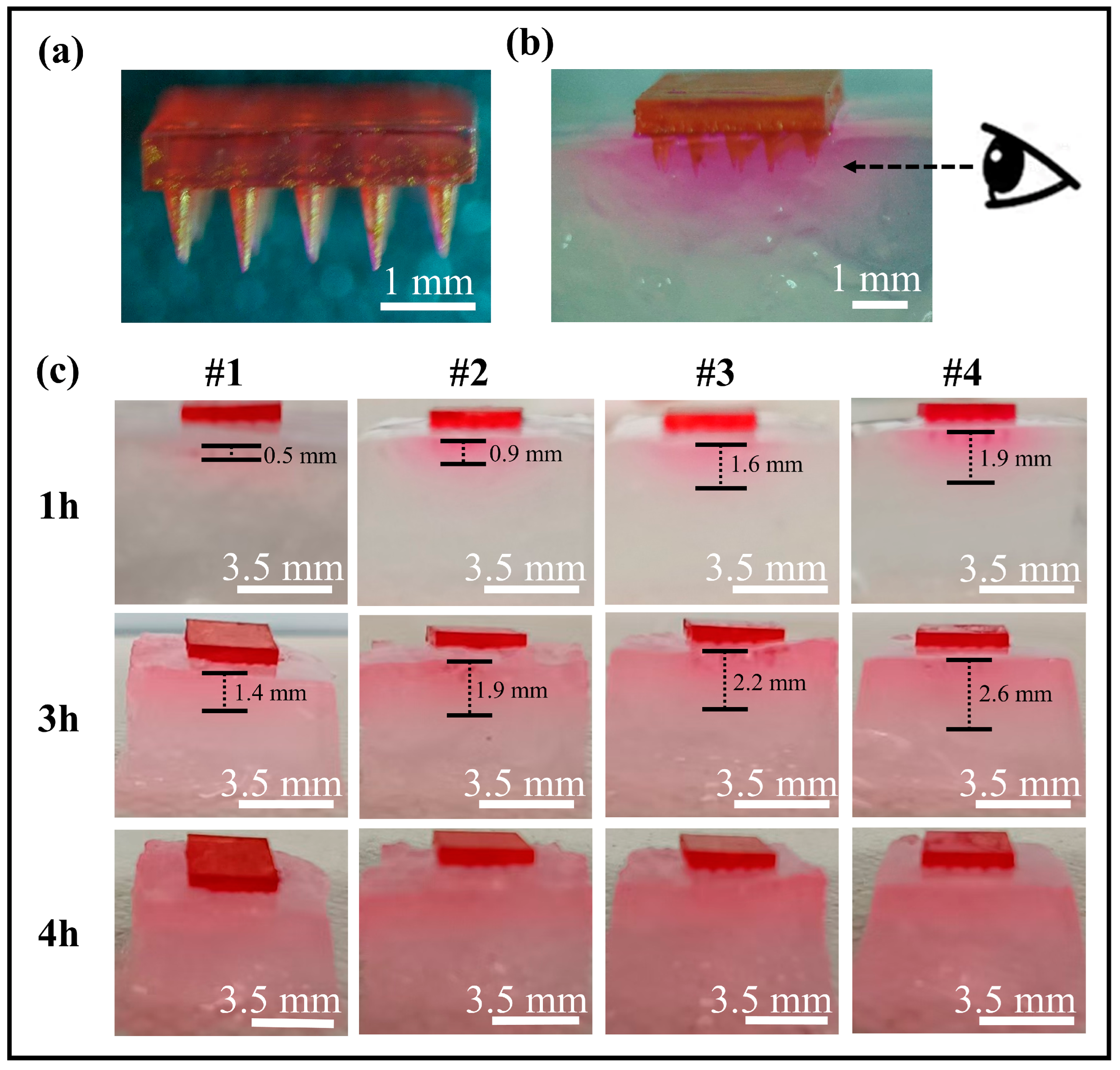 Polymers 17 00104 g010