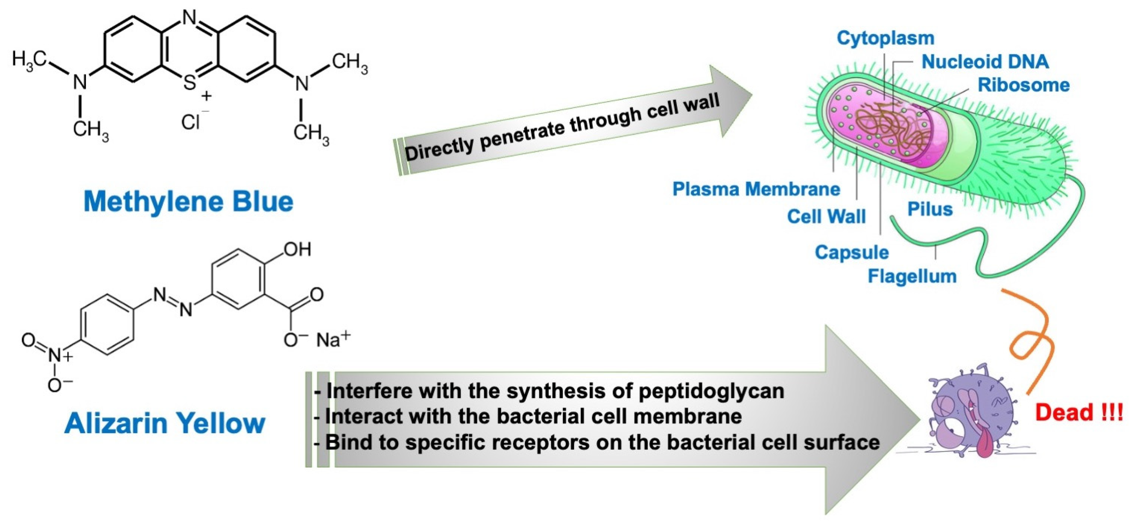 Polymers 17 00106 g014